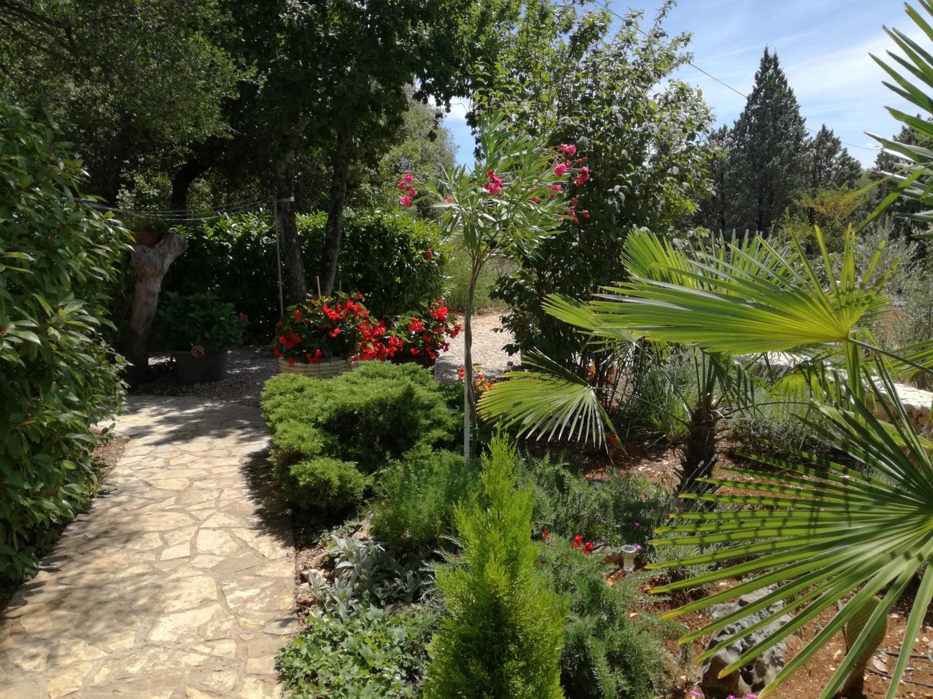 Photo 12