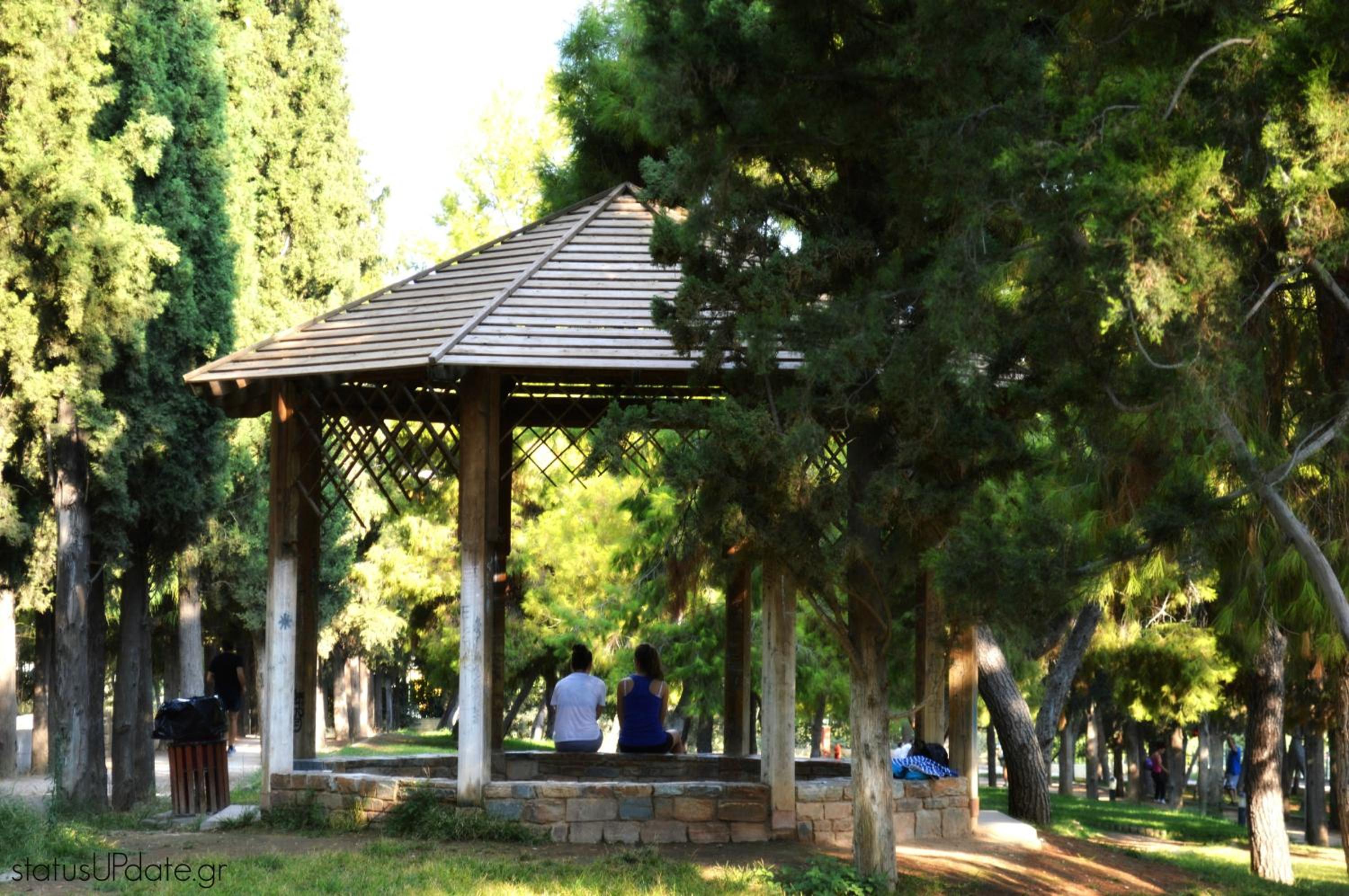 The Grove House