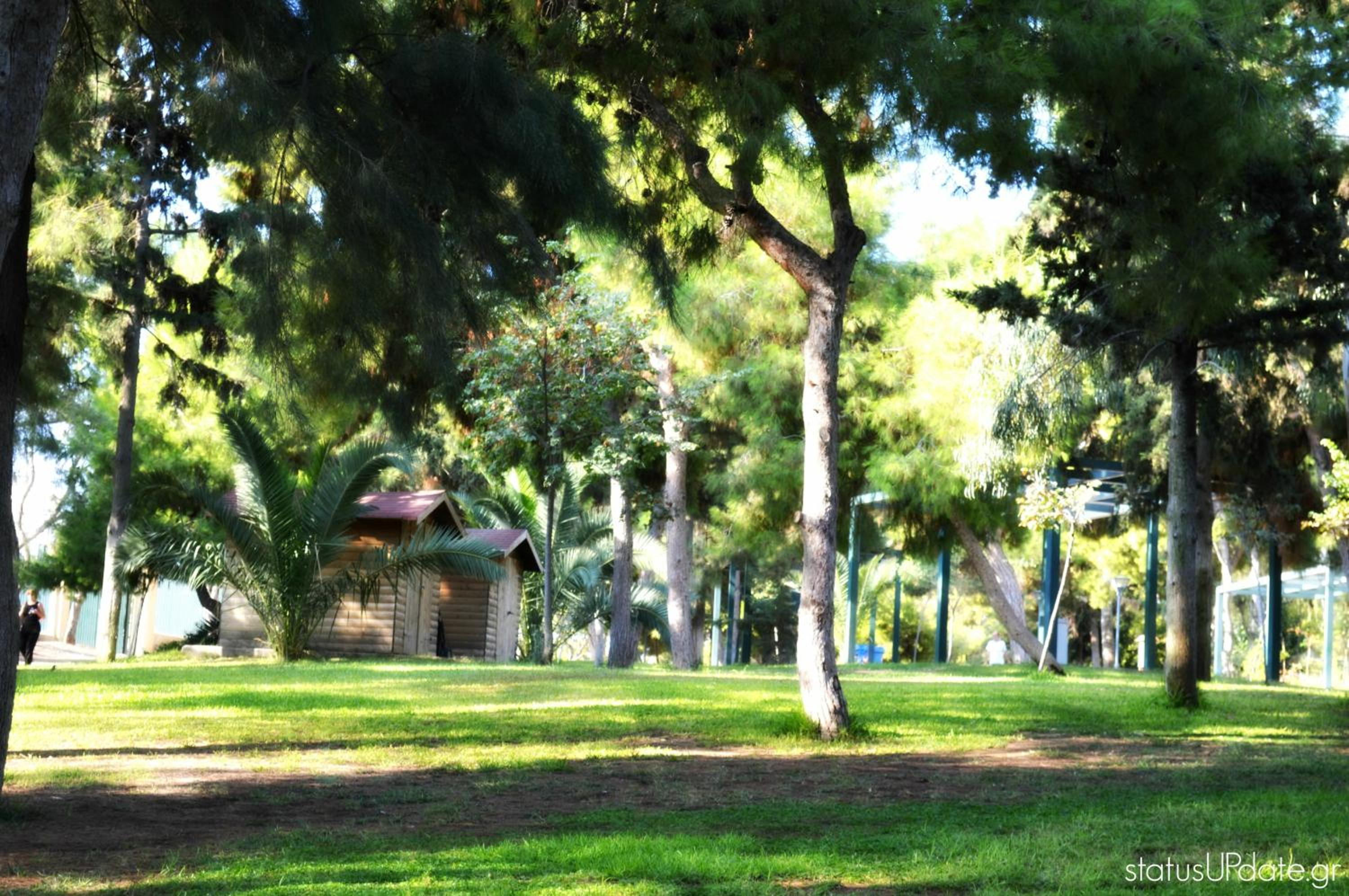 The Grove House