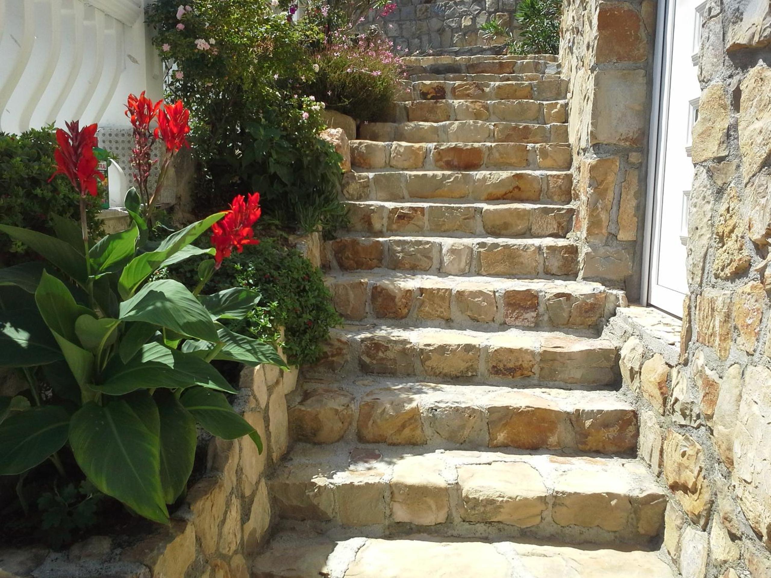 Photo 40