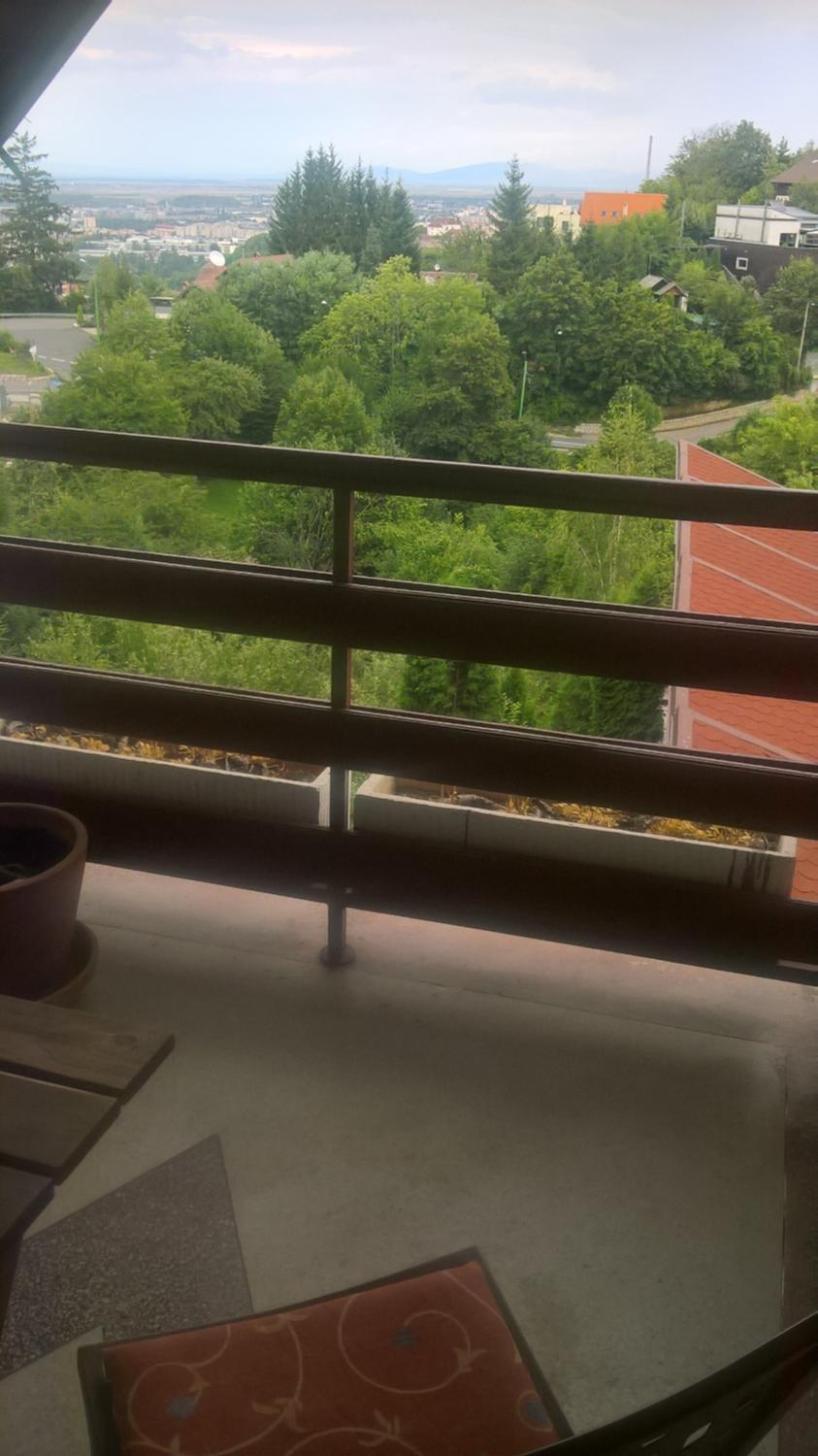 Pension Stejeris view 4