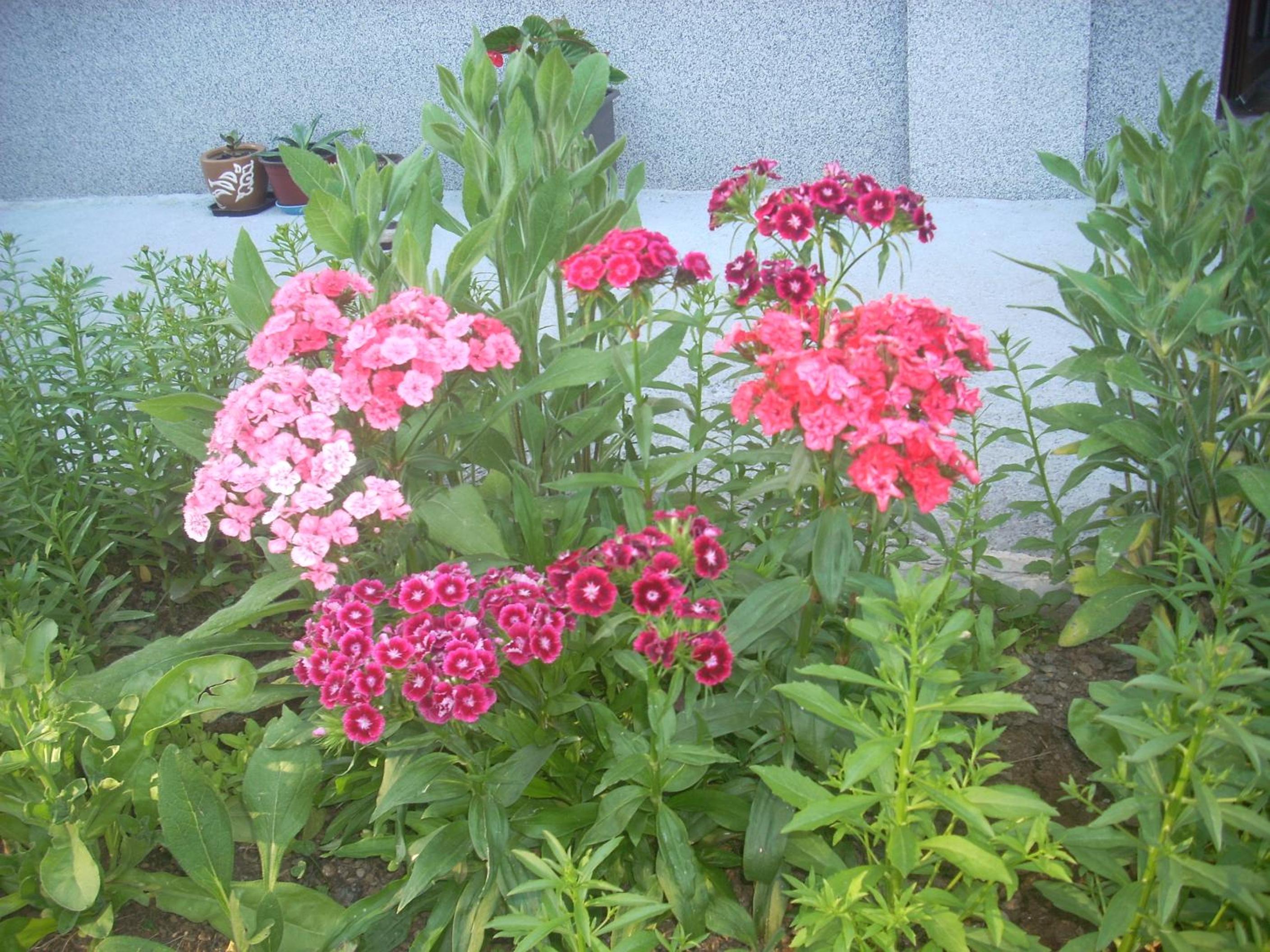 Photo 62