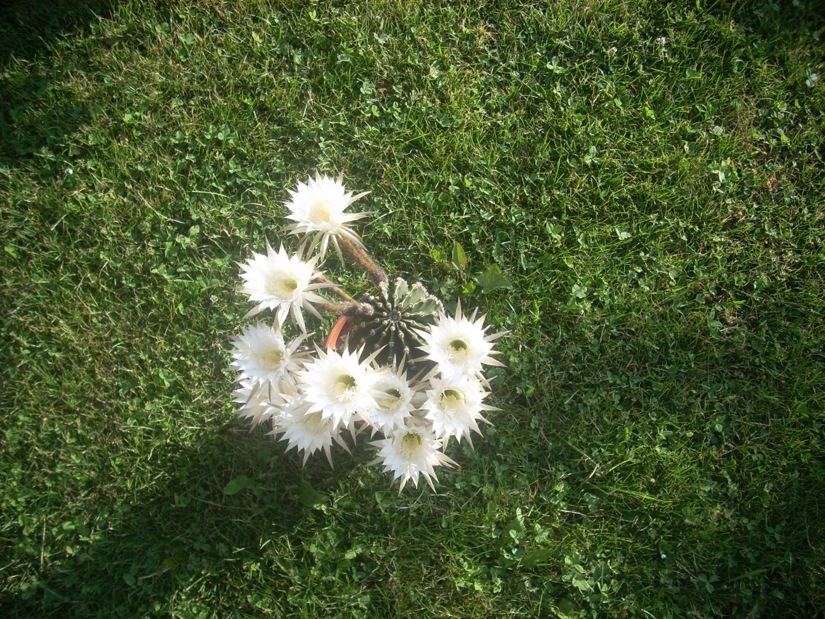 Photo 53