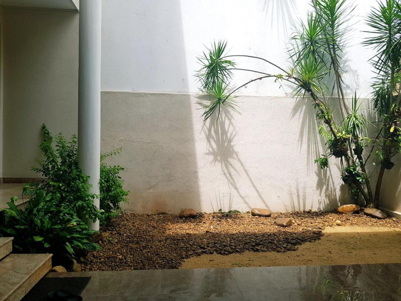 Occazia Residence view 4