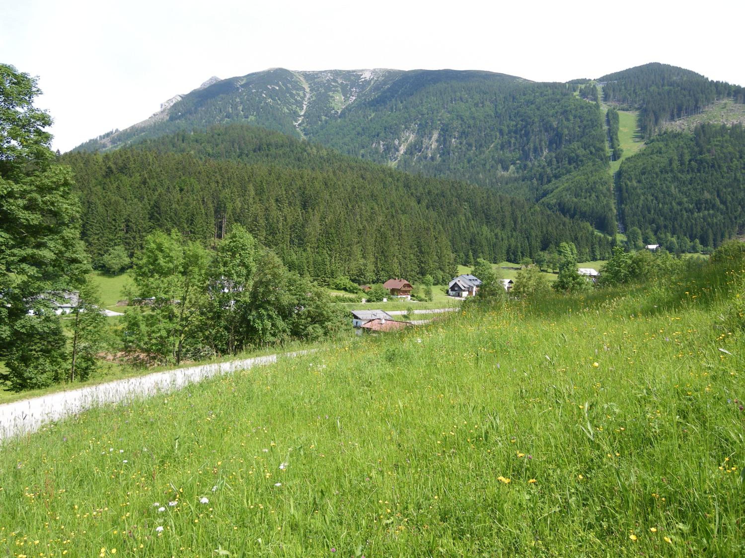 Familienappartement Ötscherbär