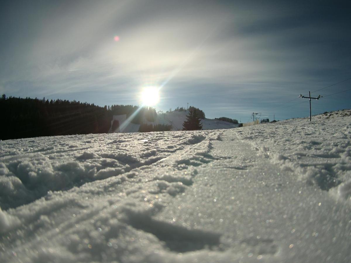 Photo 42