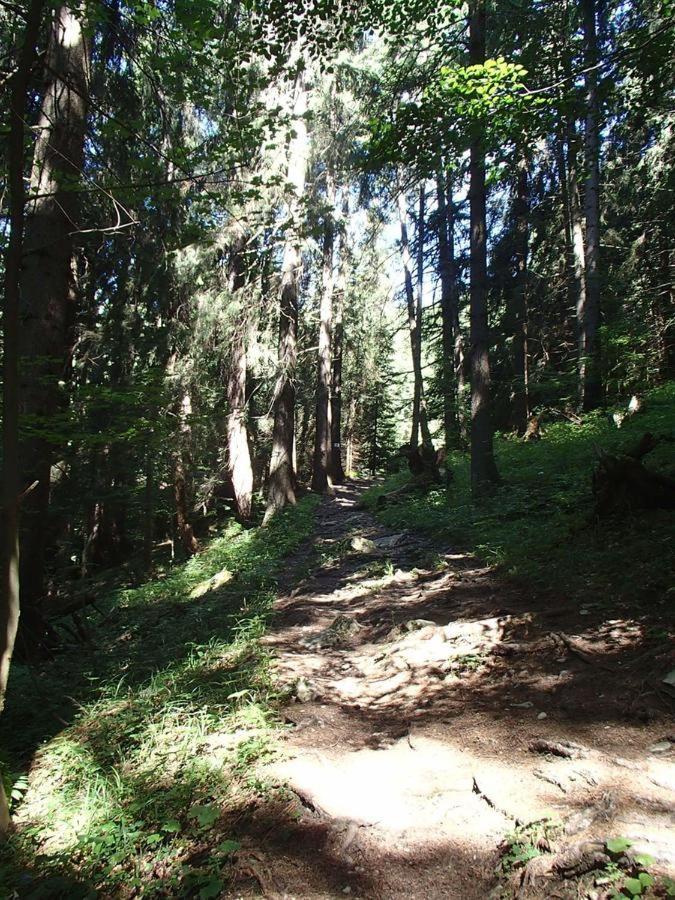 Photo 73