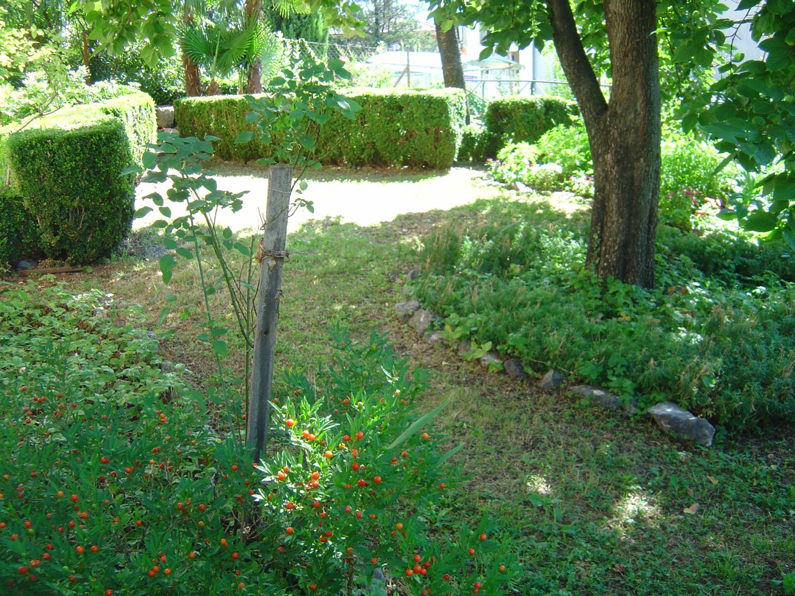 Photo 15