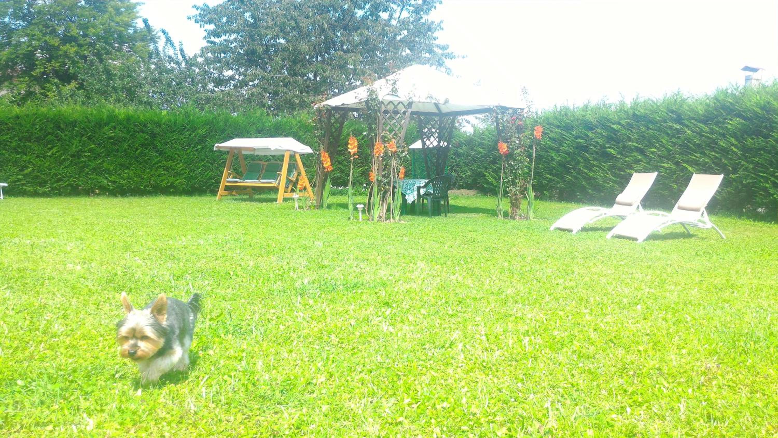 Photo 8