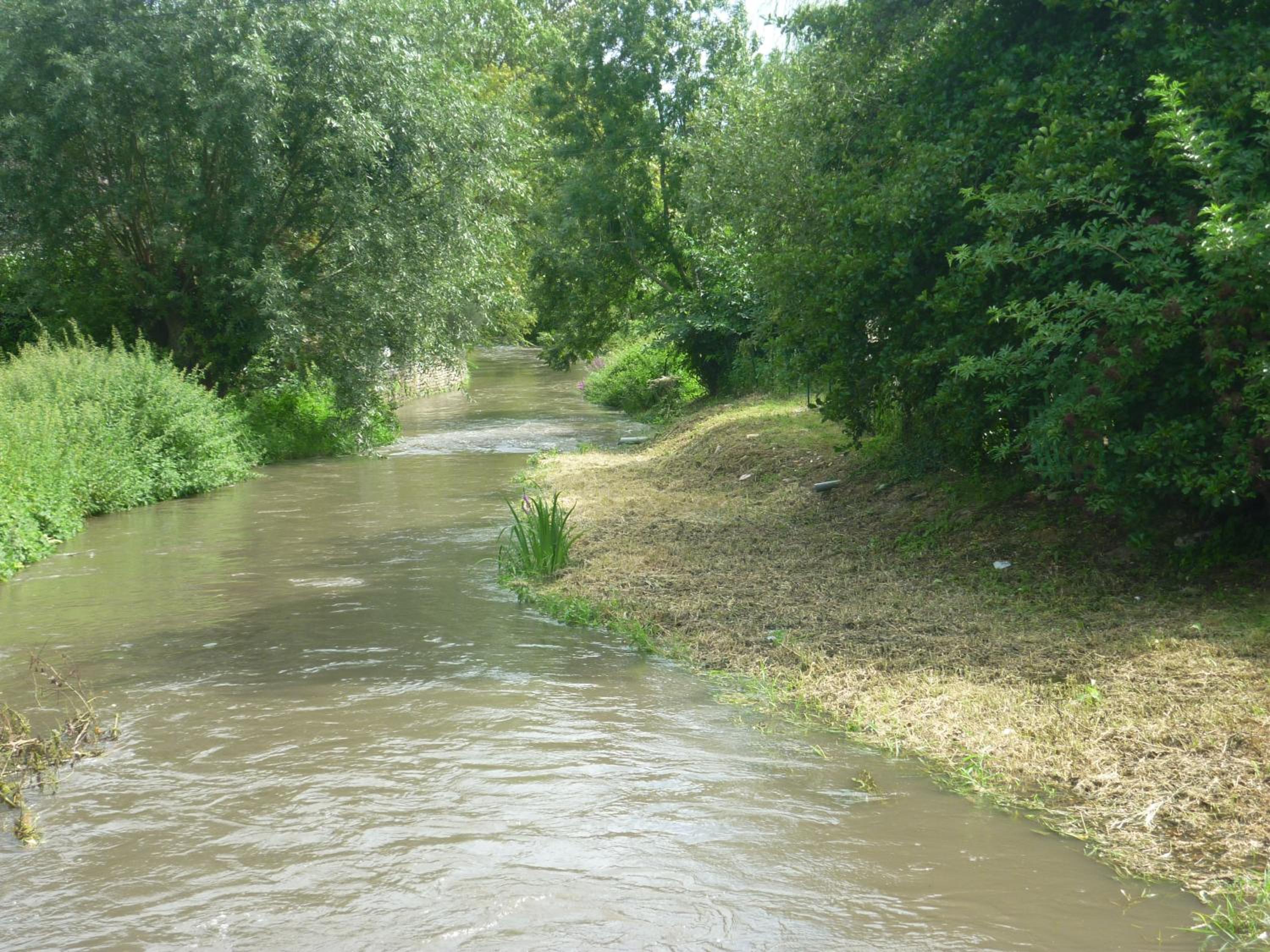 Photo 24
