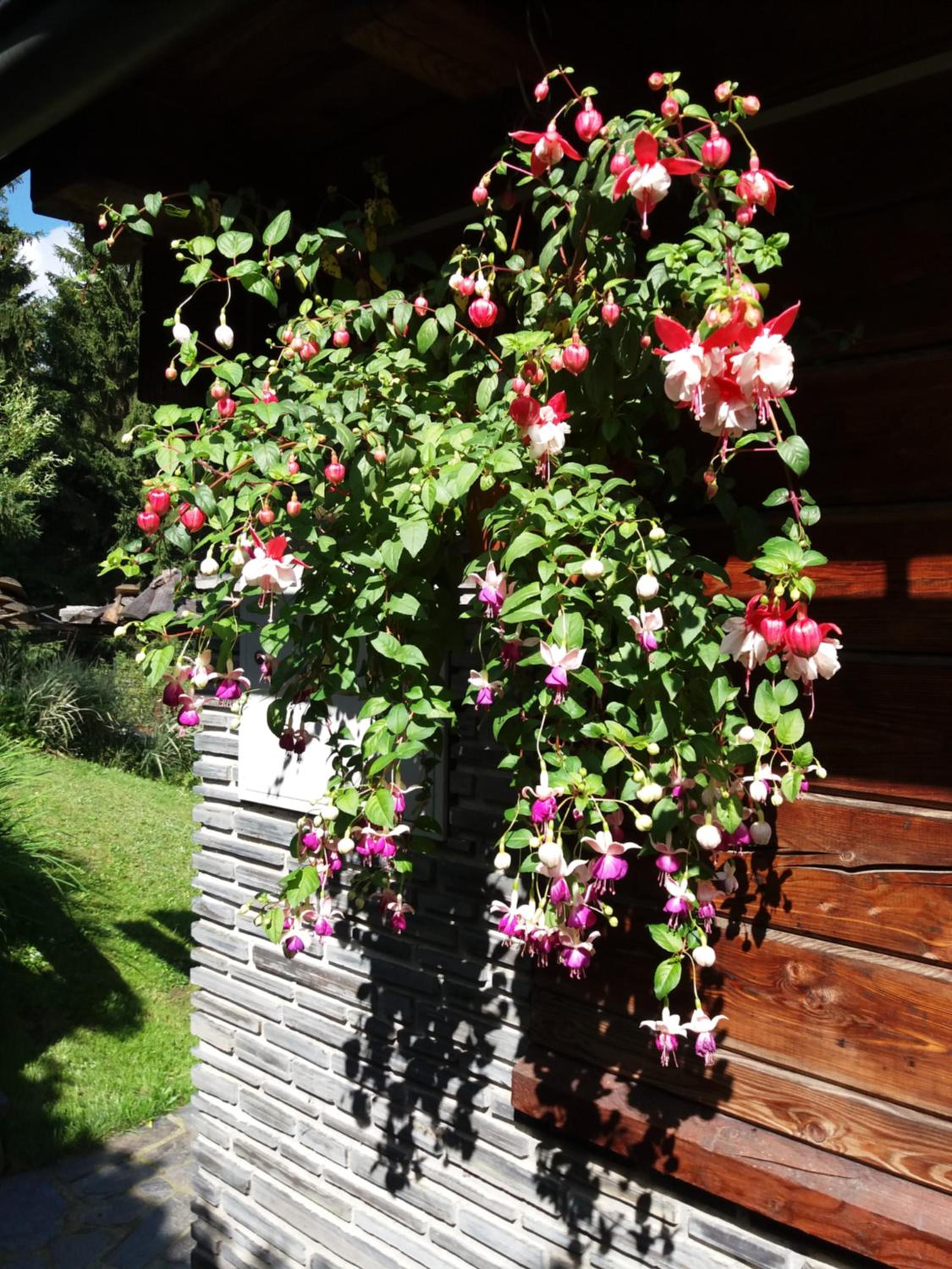 Photo 56