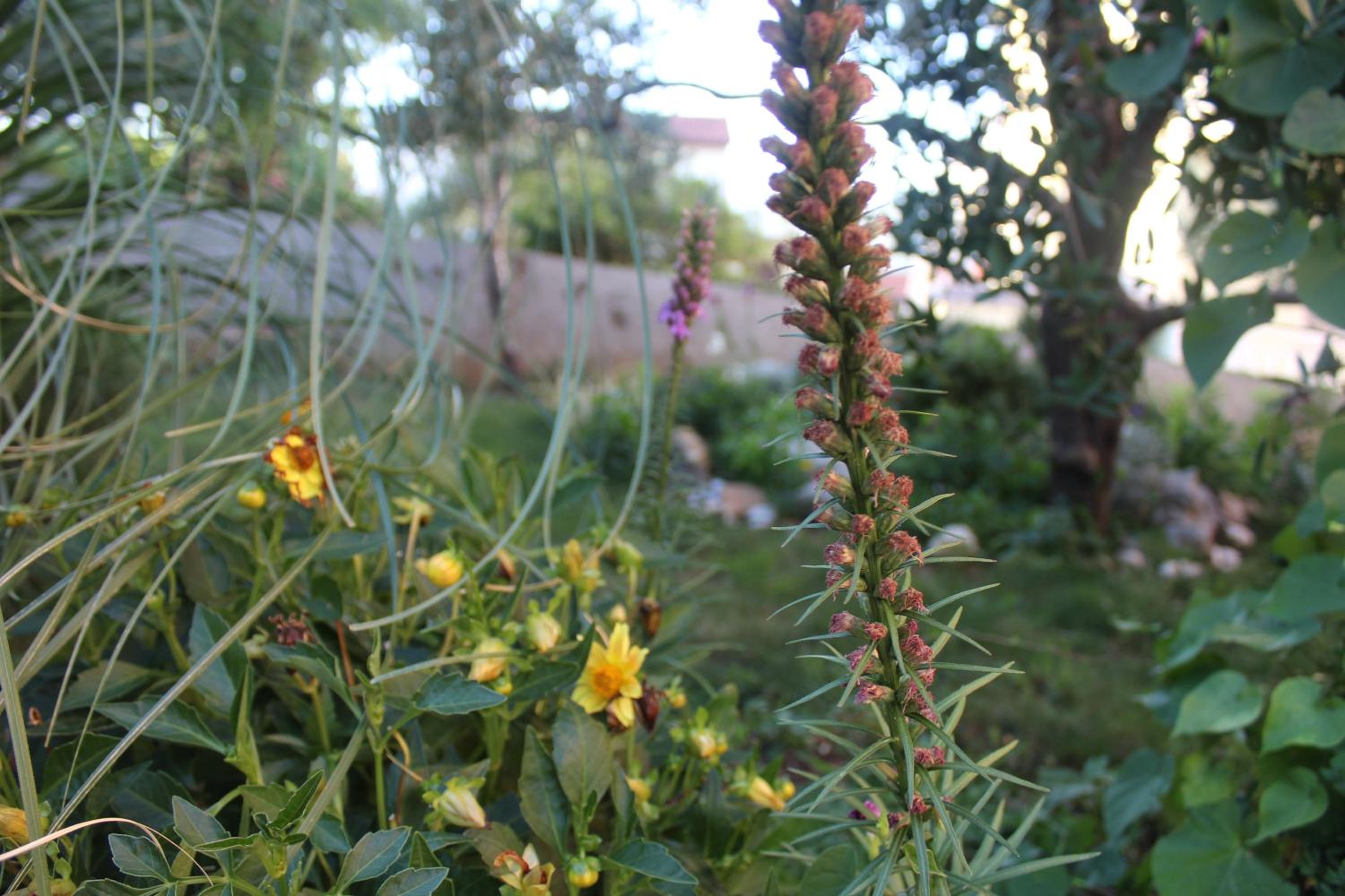 Photo 10