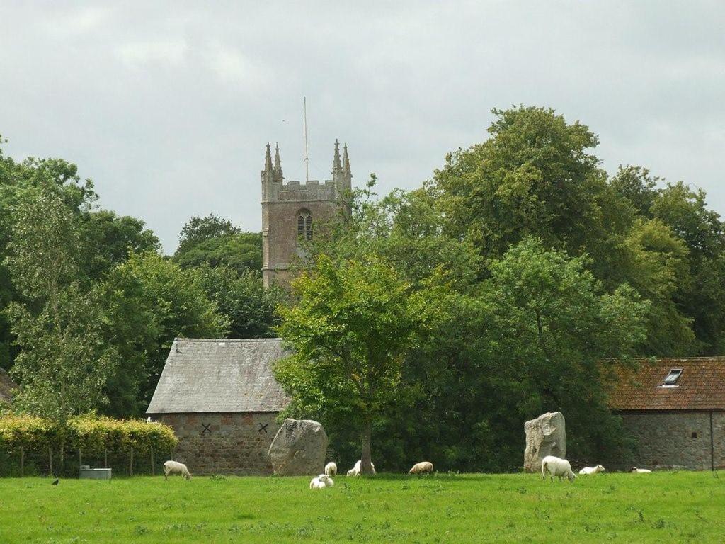Photo 89
