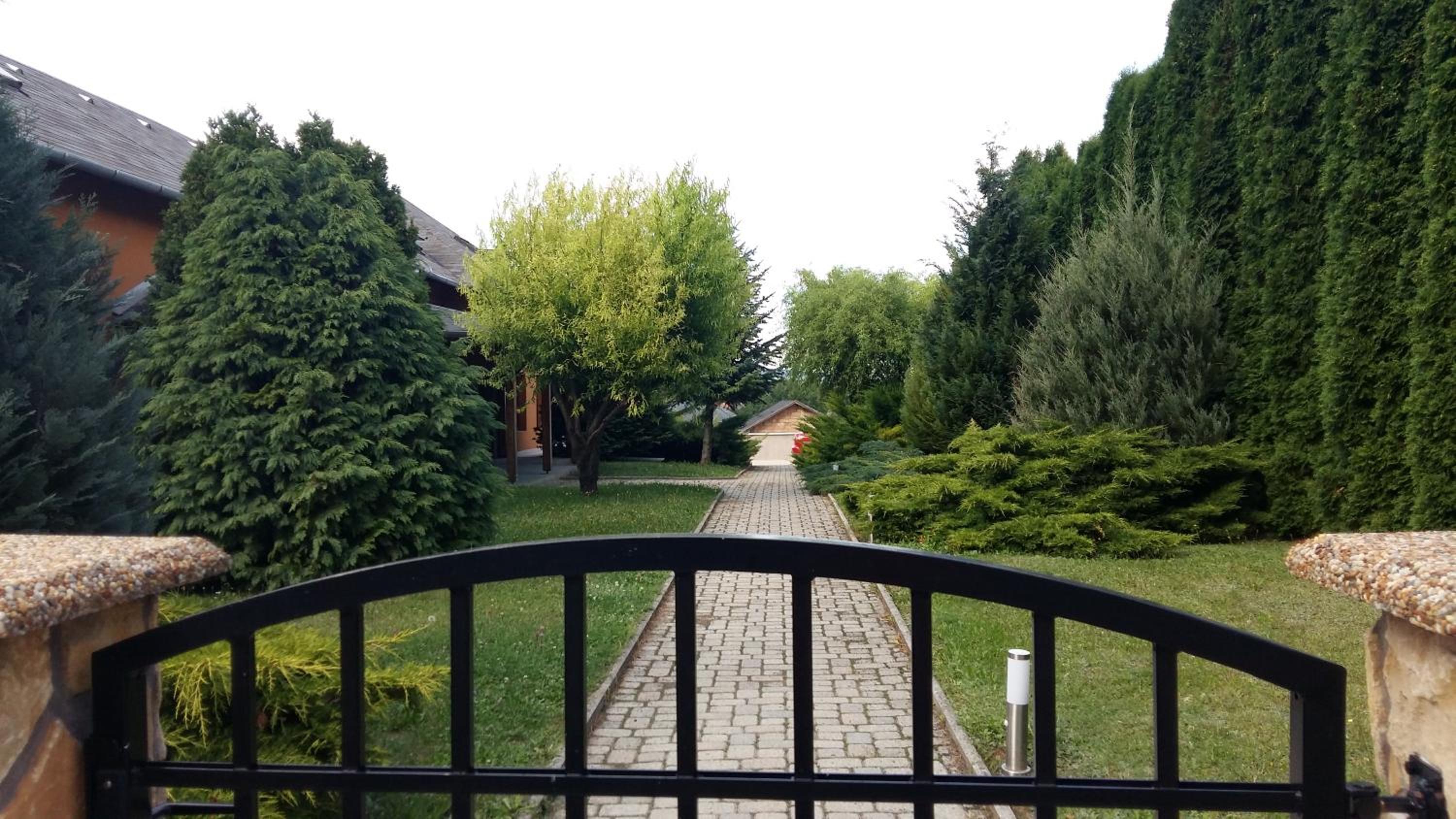 Photo 9