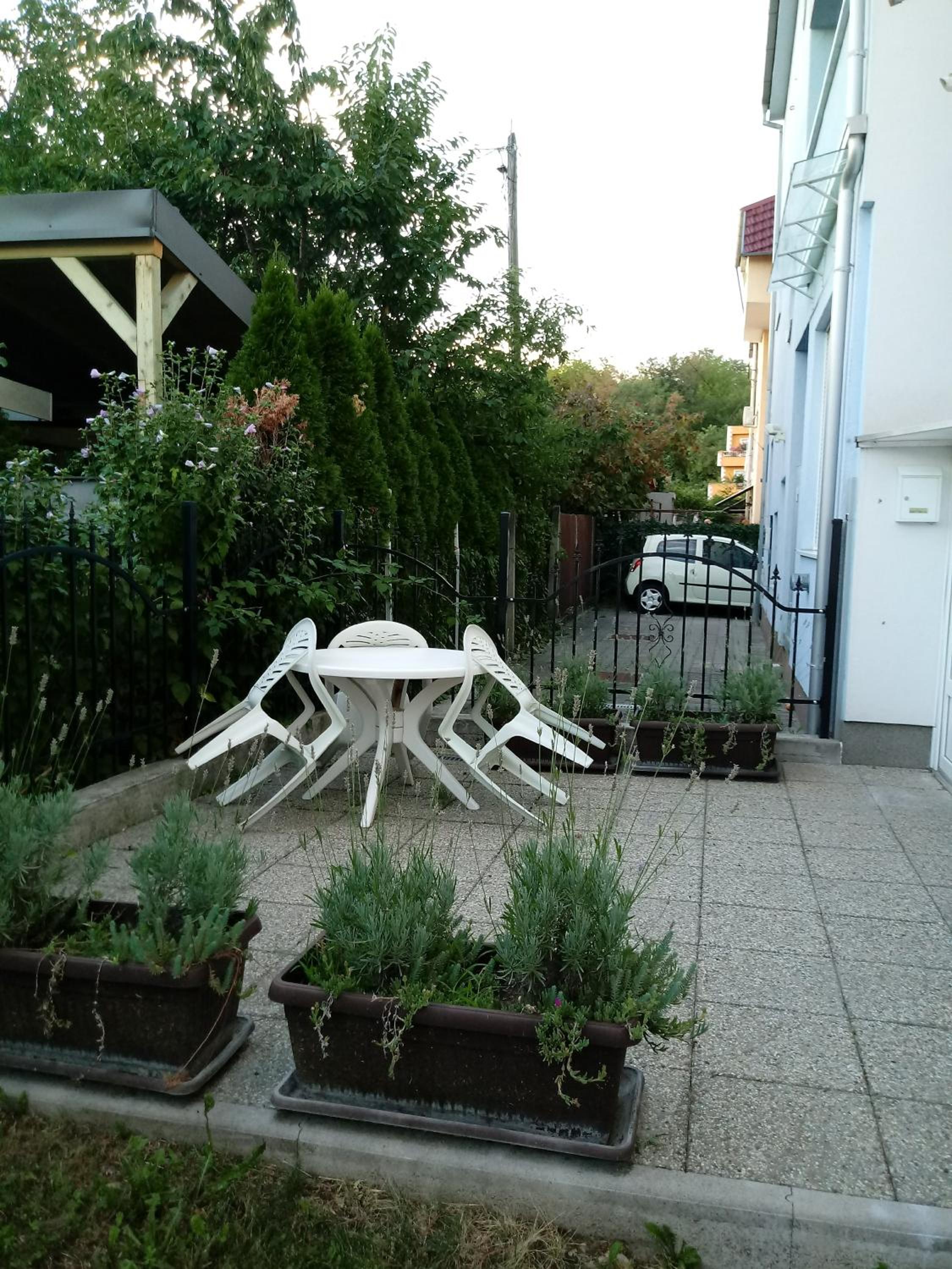 Photo 43