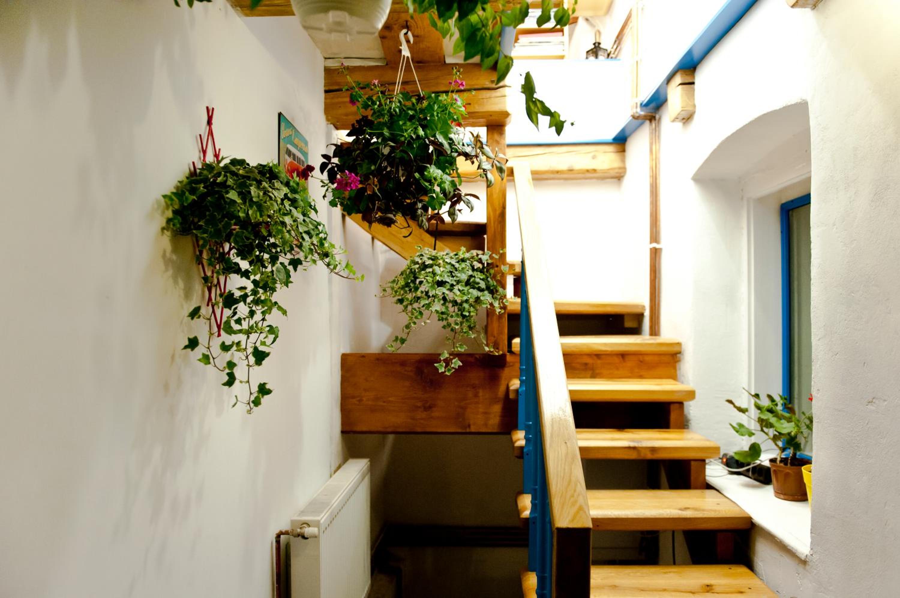 Bike House 141 — photo 141