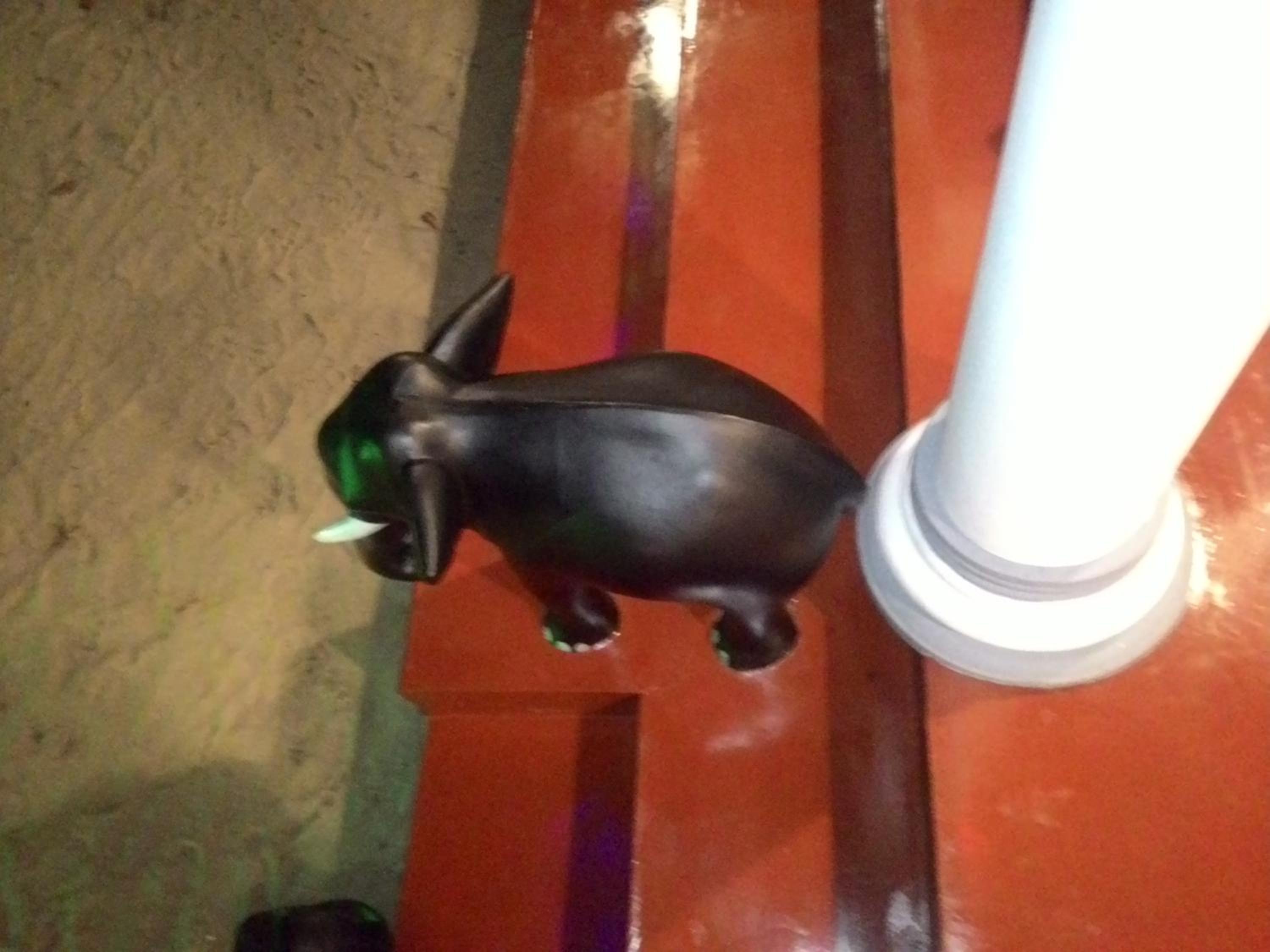 Photo 53