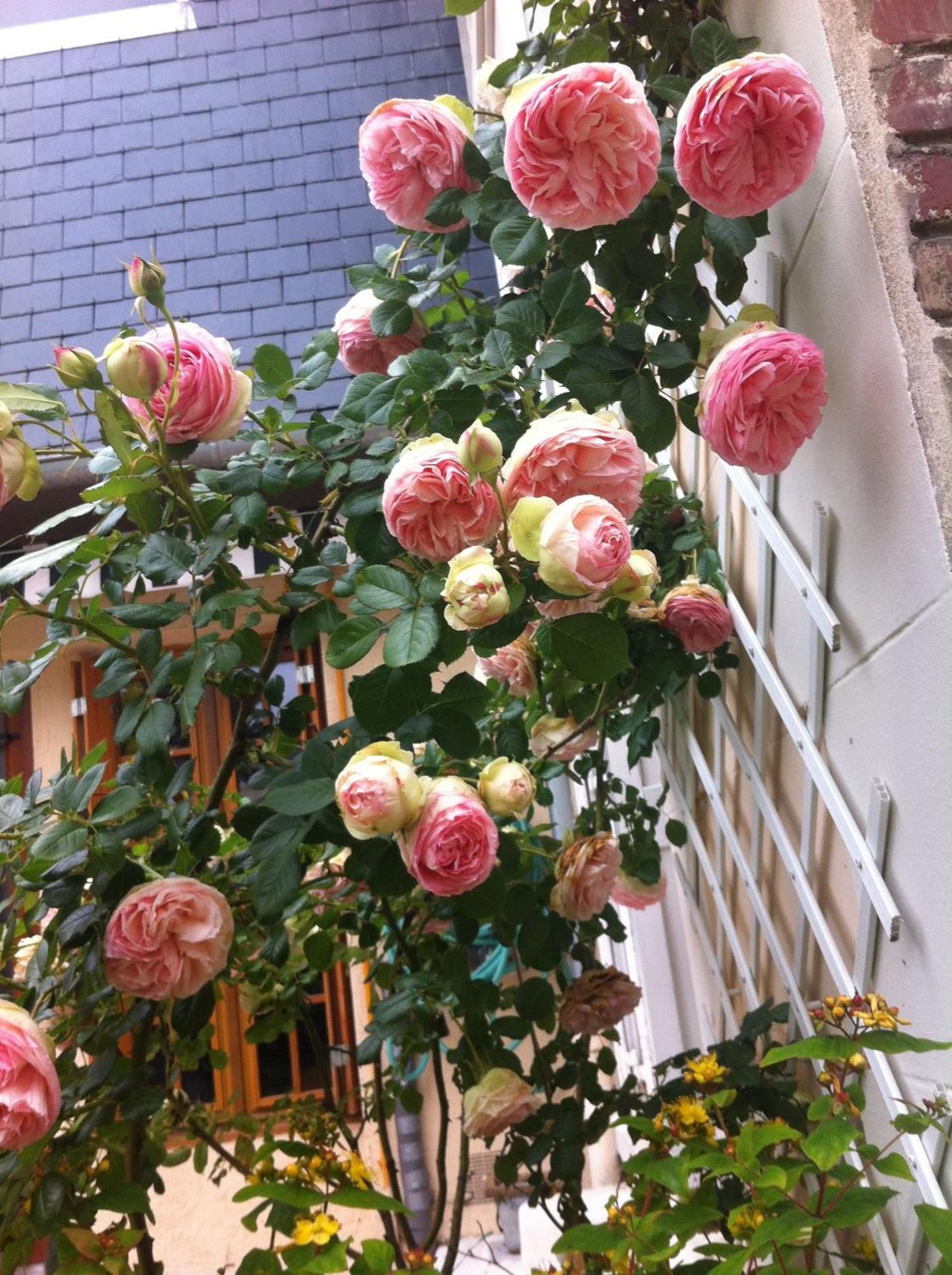 Deauville Vacations - Le Mascaret - Property Image 2