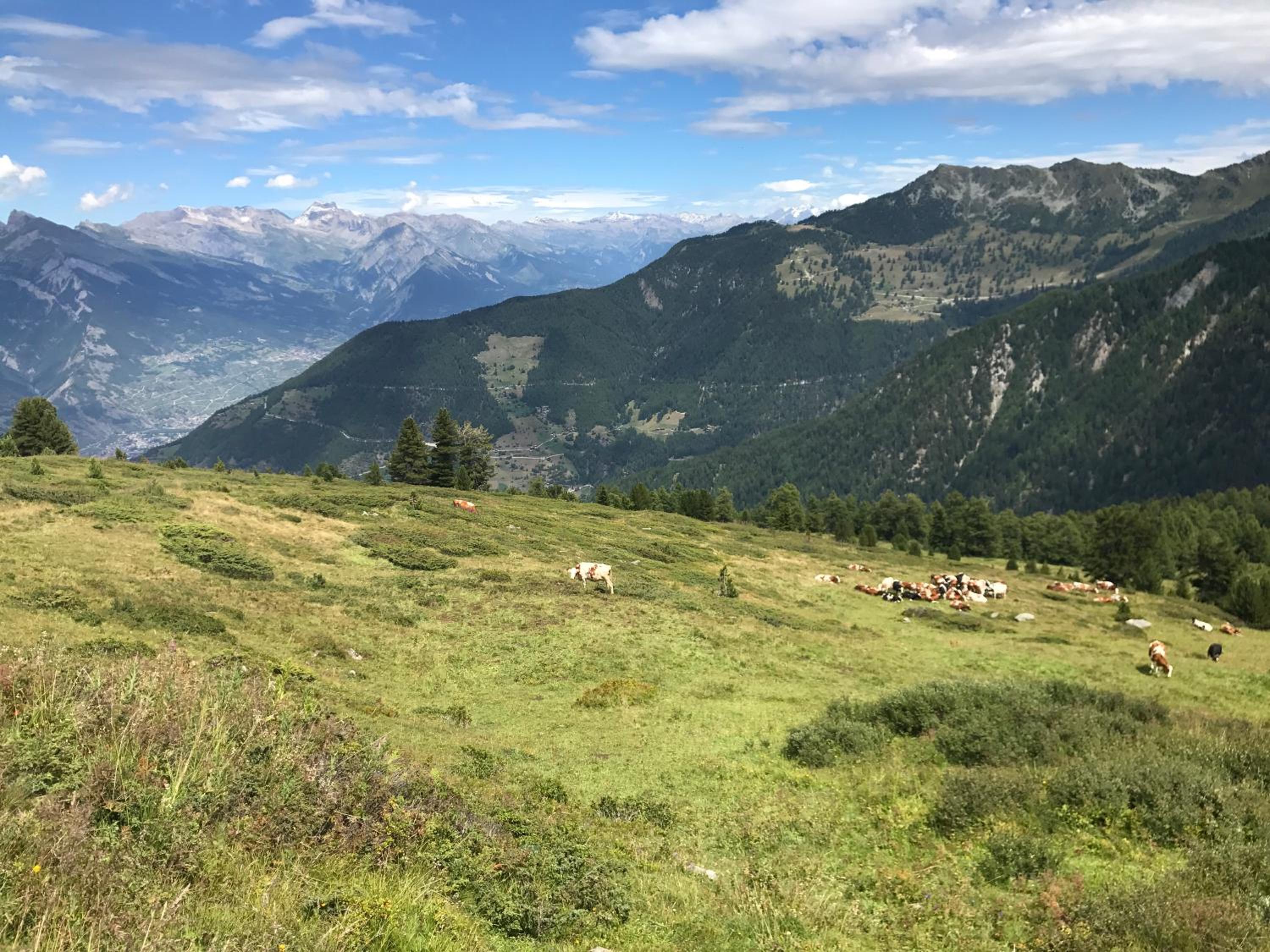 Chalet Clochette 4 Valles-Verbier