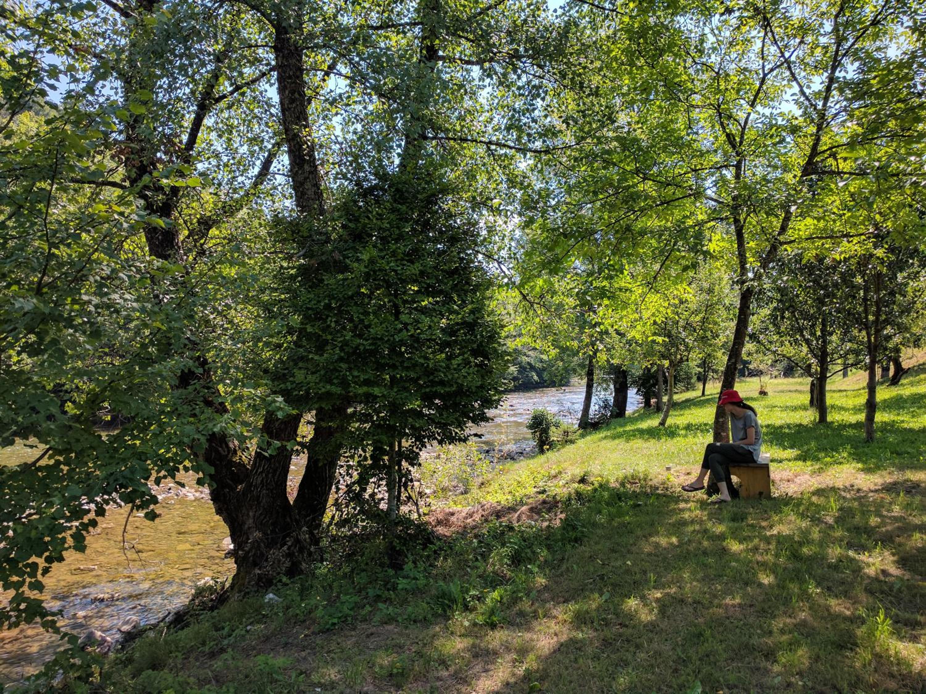 Photo 16