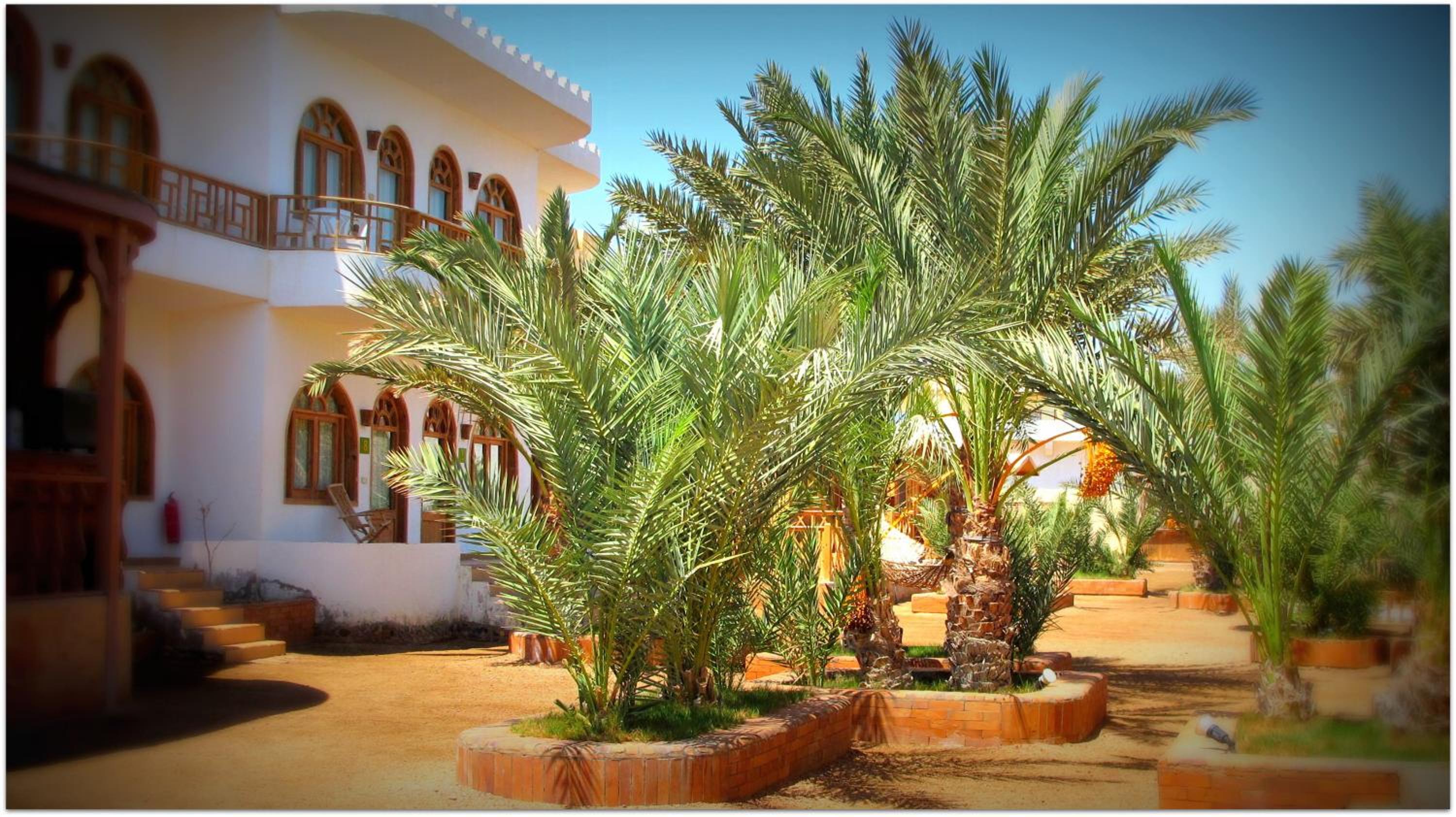 Shams Hotel & Dive Centre