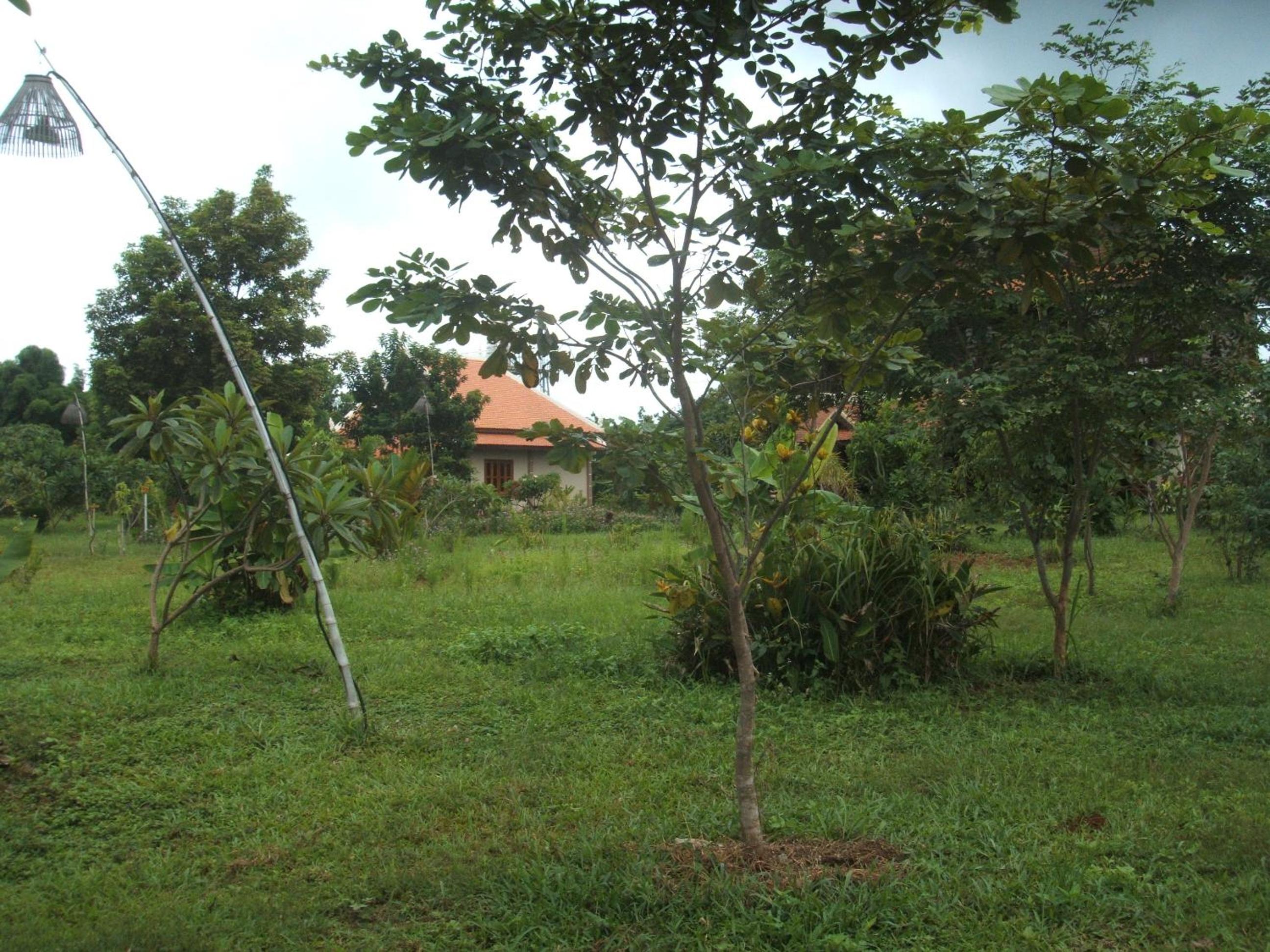 Photo 9