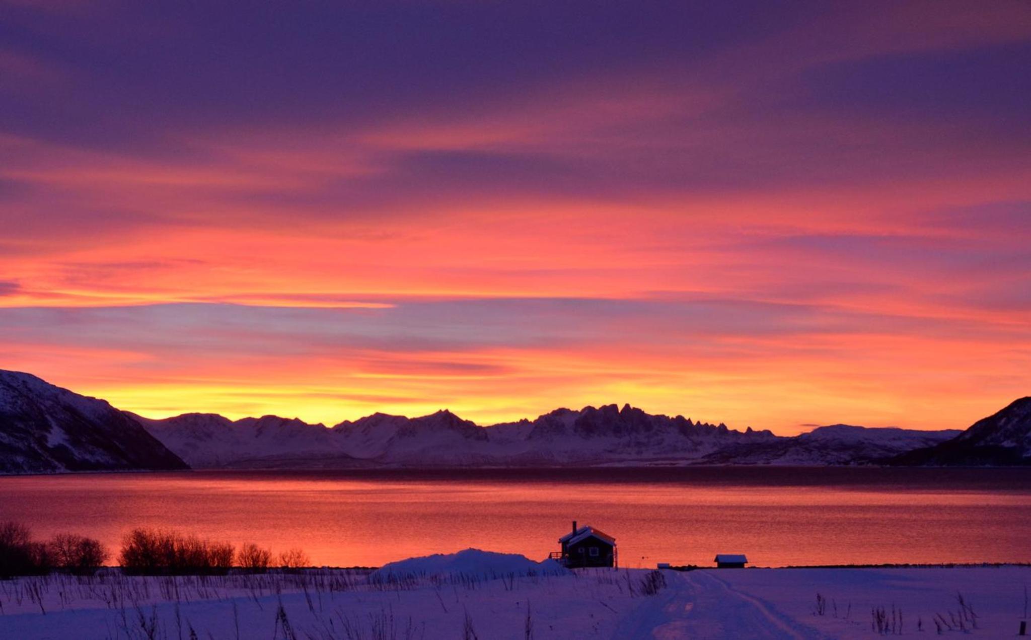 Arctic FjordCamp