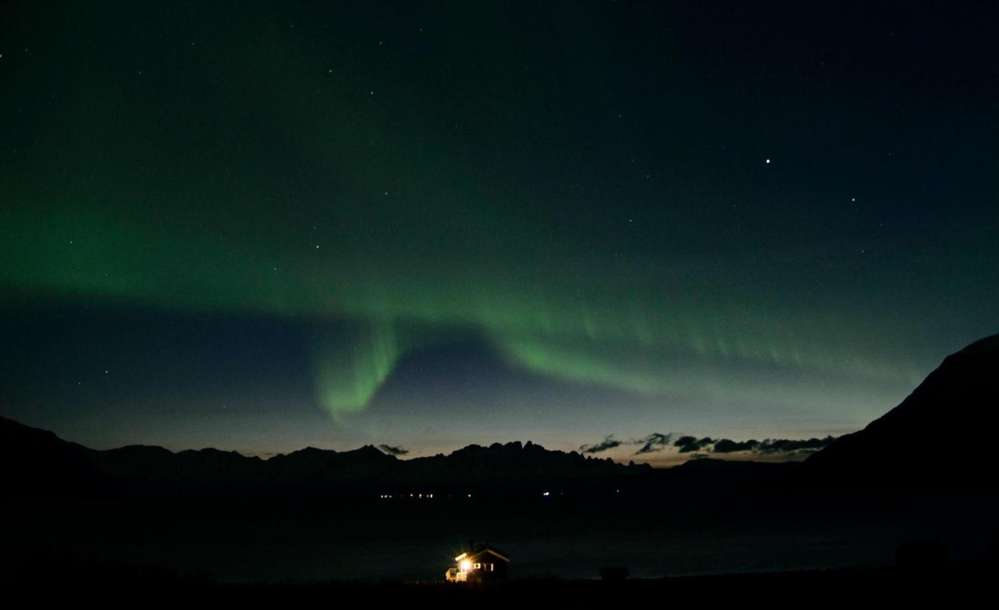 Arctic FjordCamp