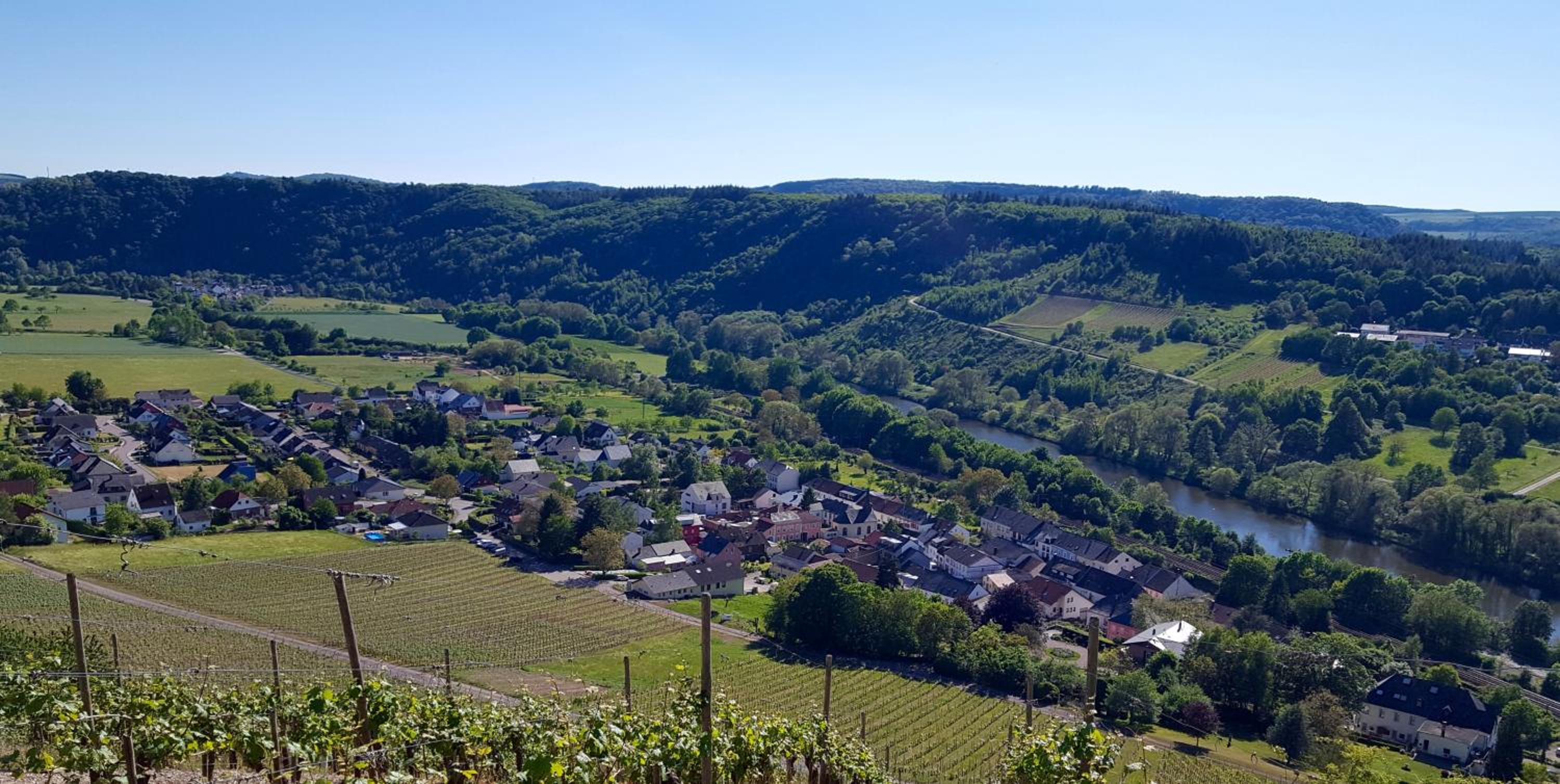 Zur alten Rebe Ferienhaus und Weingut