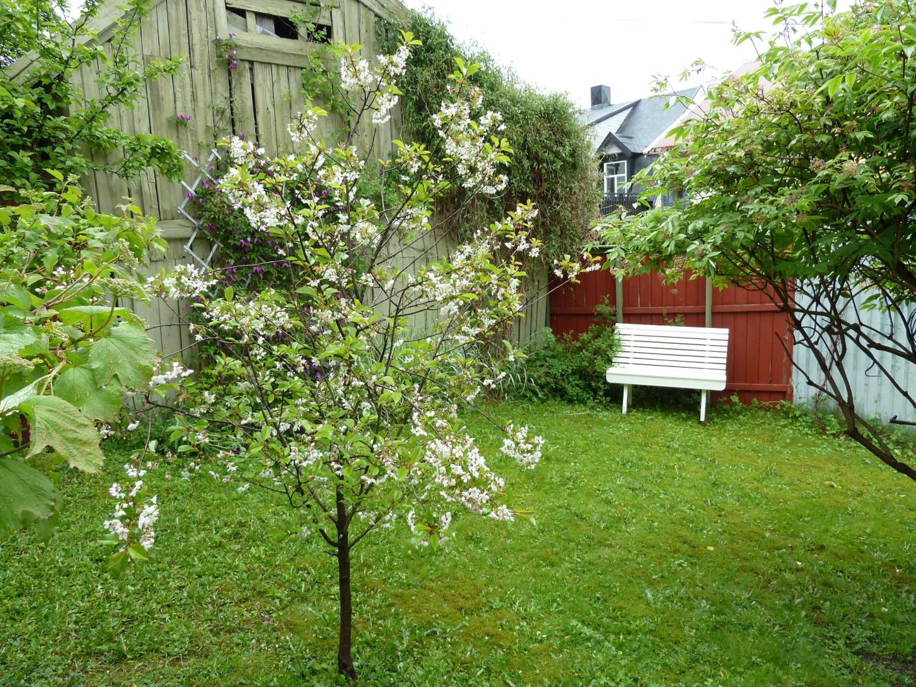 Photo 9