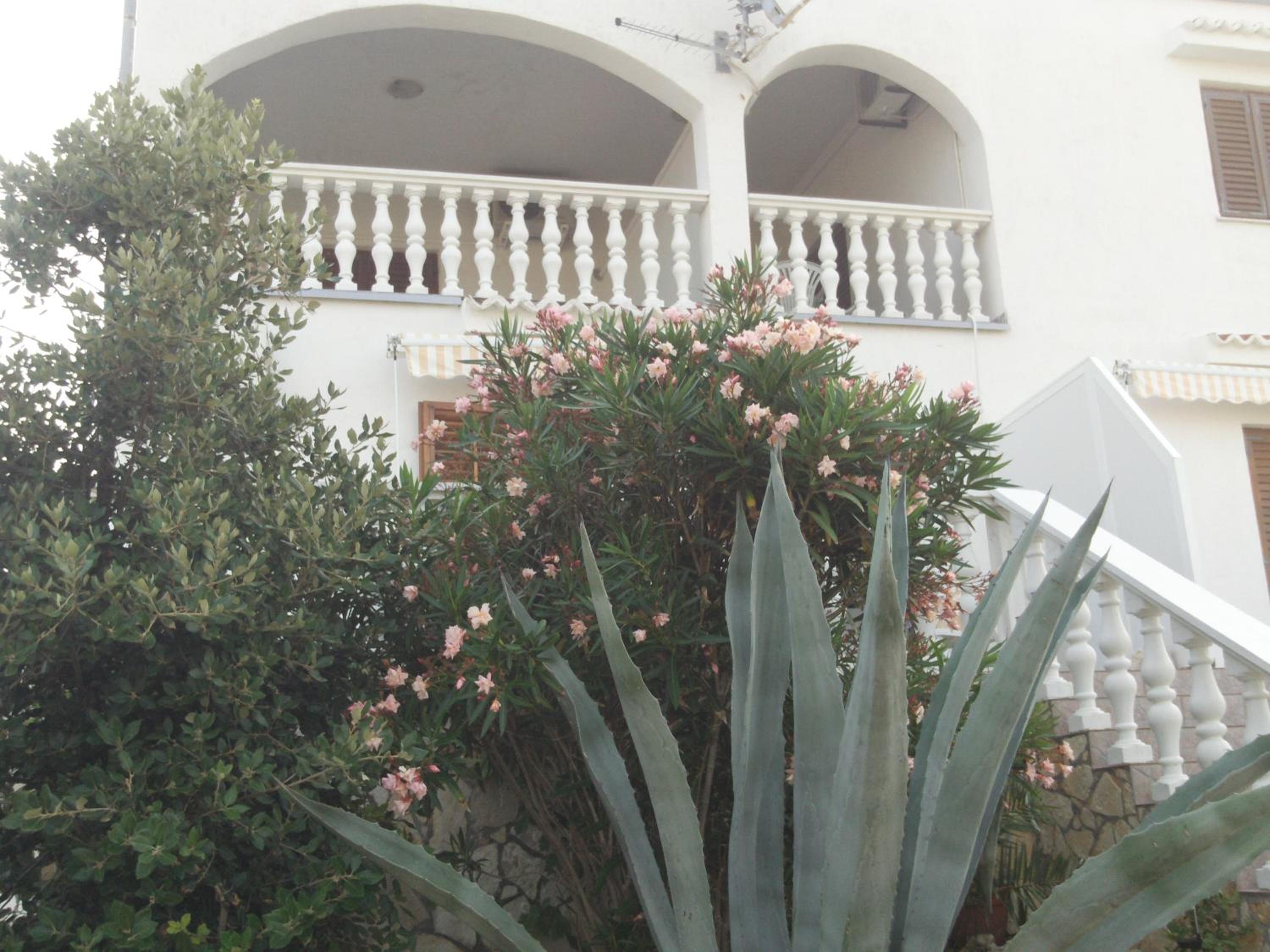 Photo 51