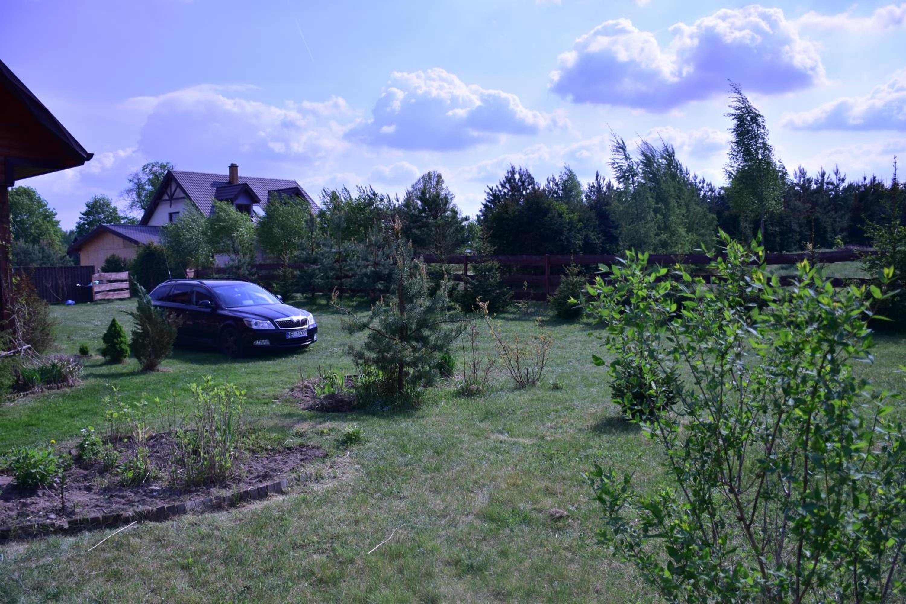 Gorczyca Reset