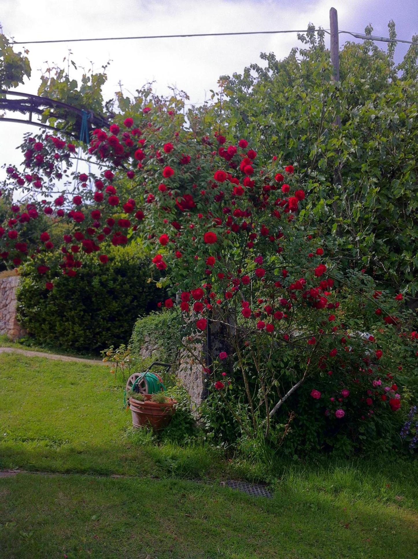 Photo 42