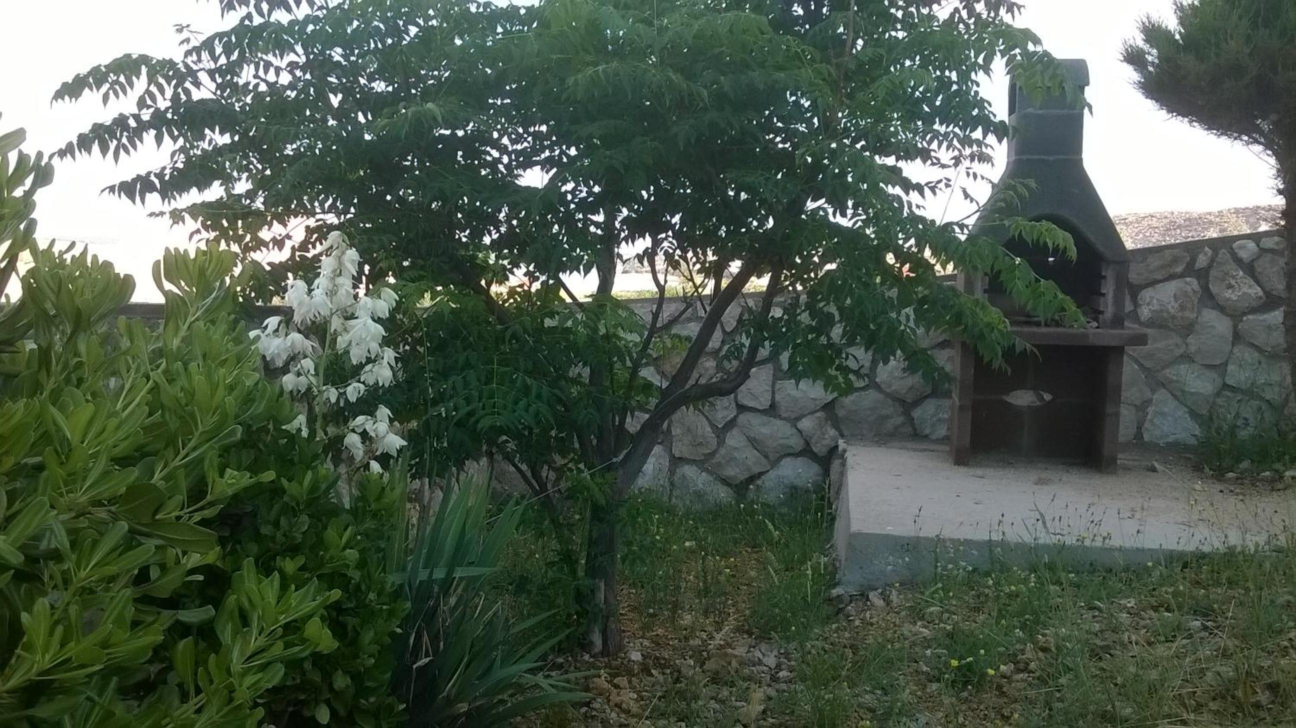 Photo 38