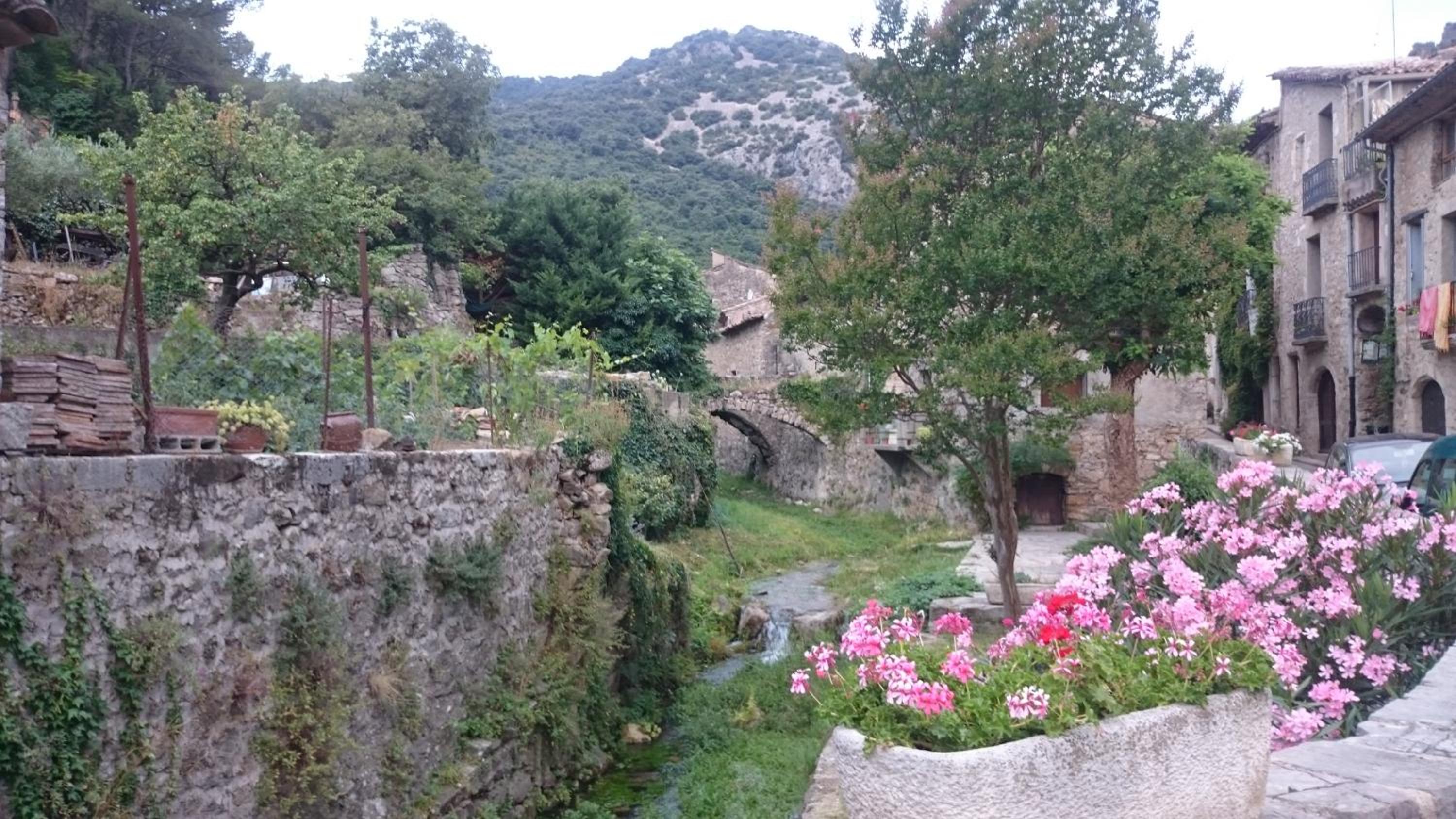 Photo 41