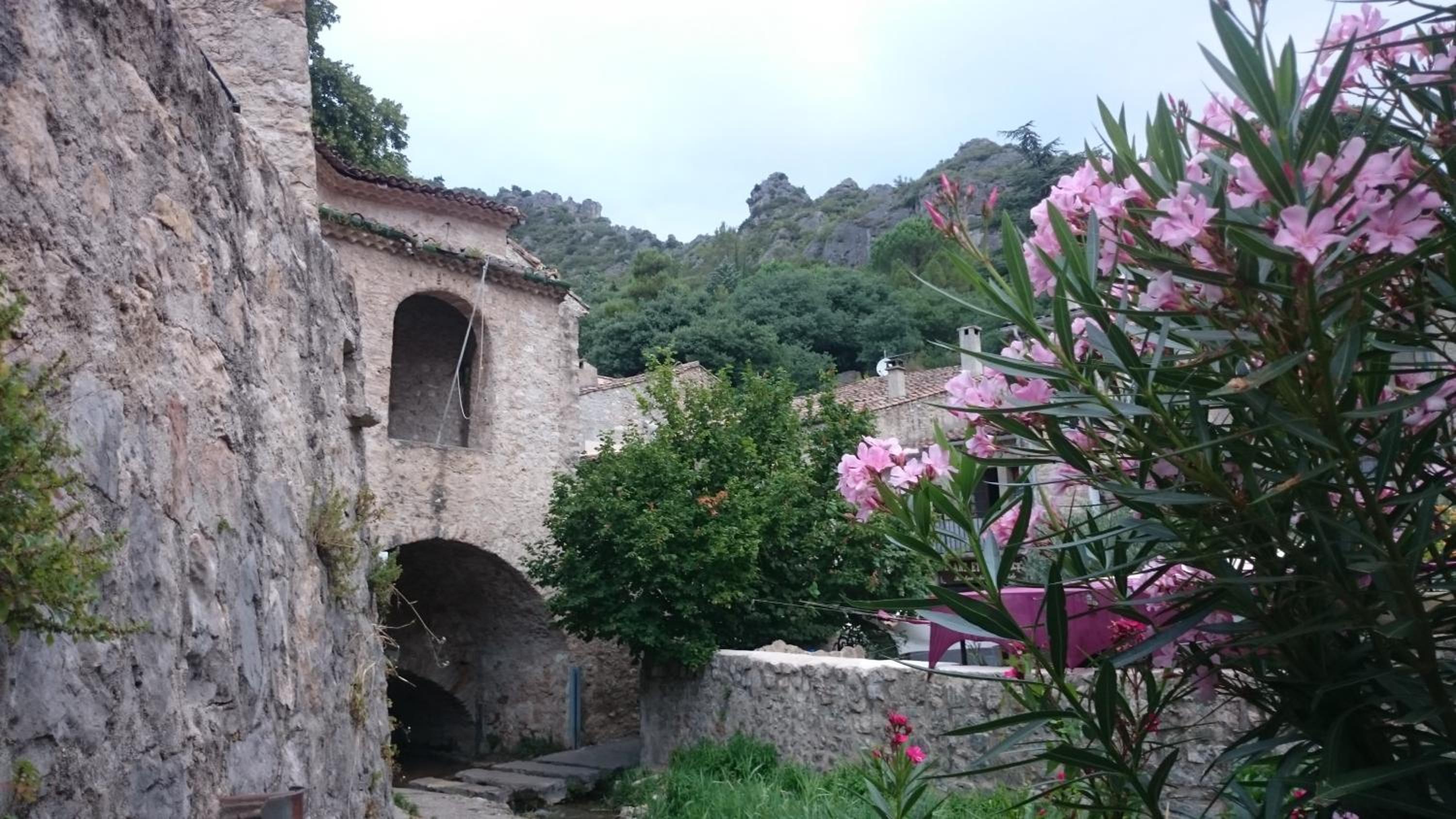 Photo 43