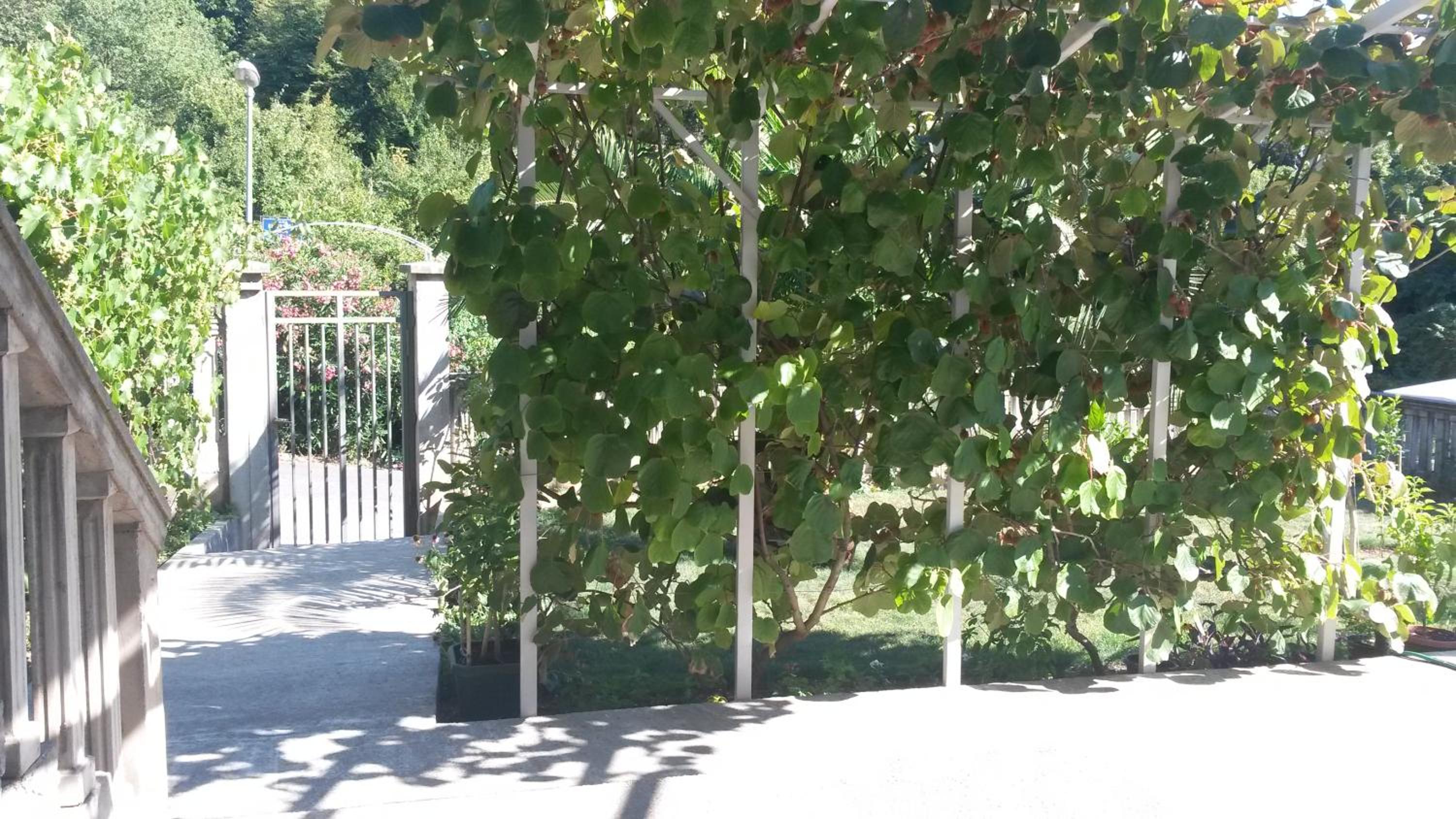 Photo 9
