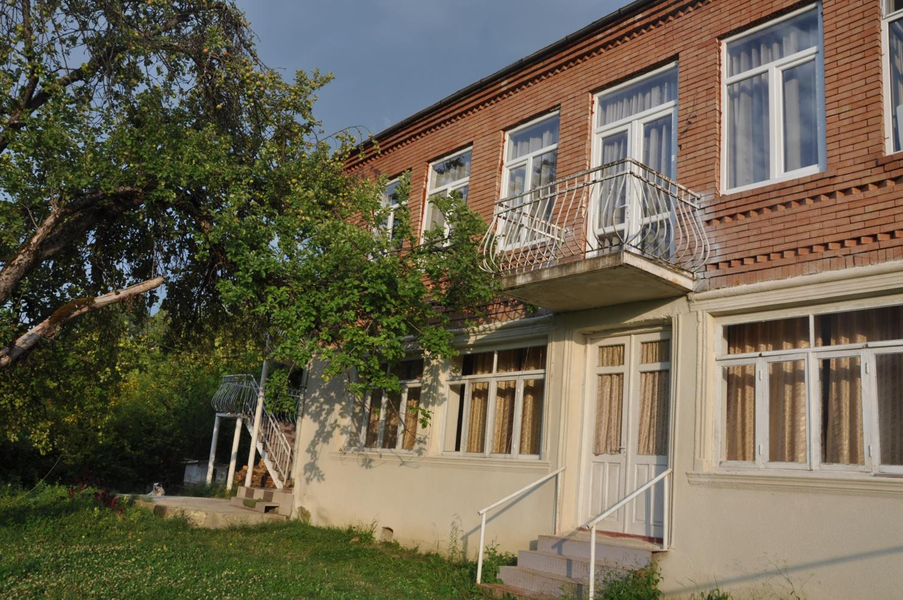 Photo 41