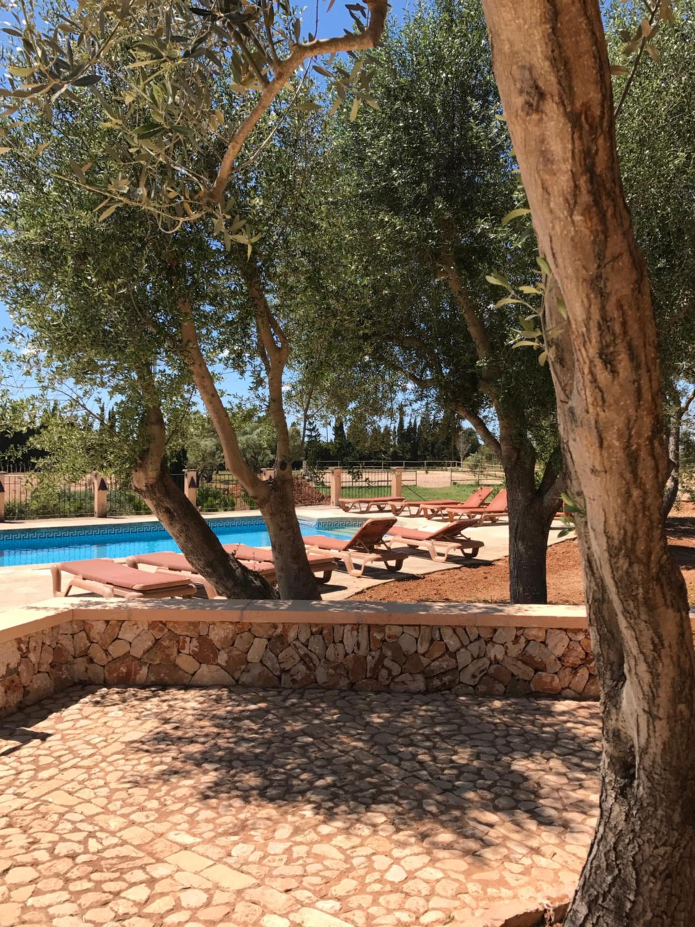 Finca Agroturismo Son Menut