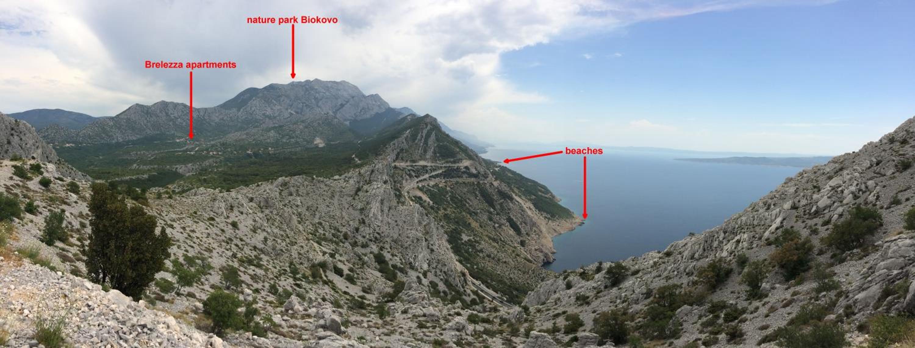 Photo 43