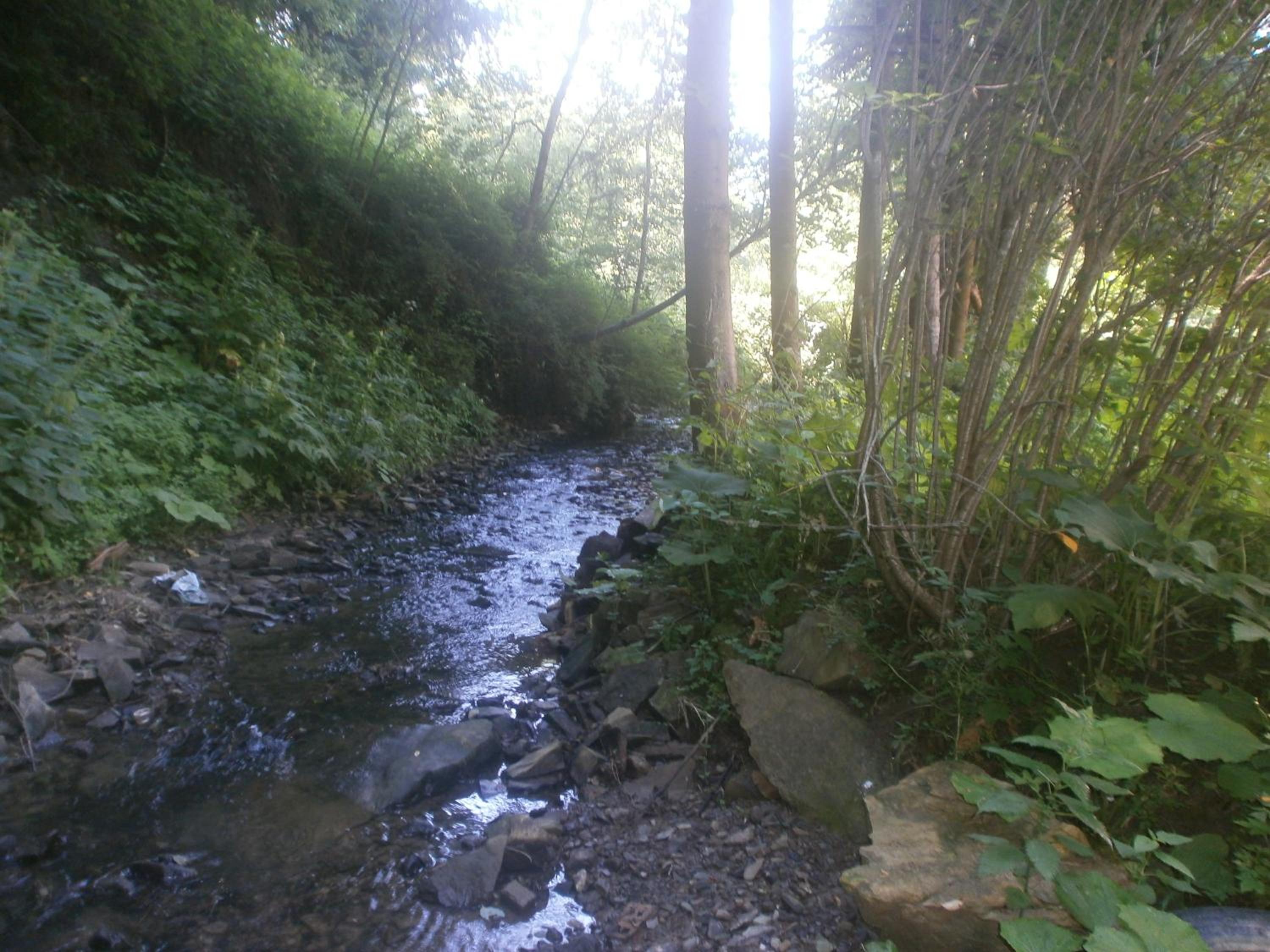 Photo 34