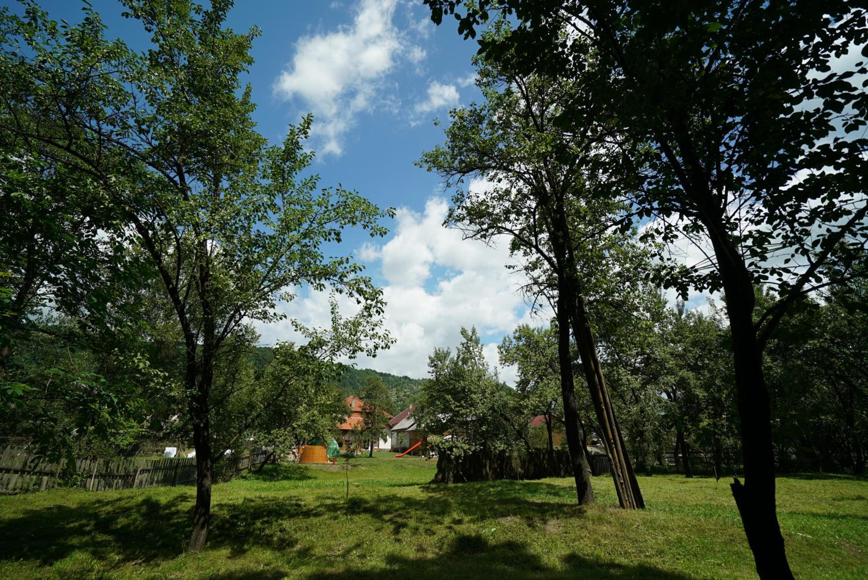 Photo 26