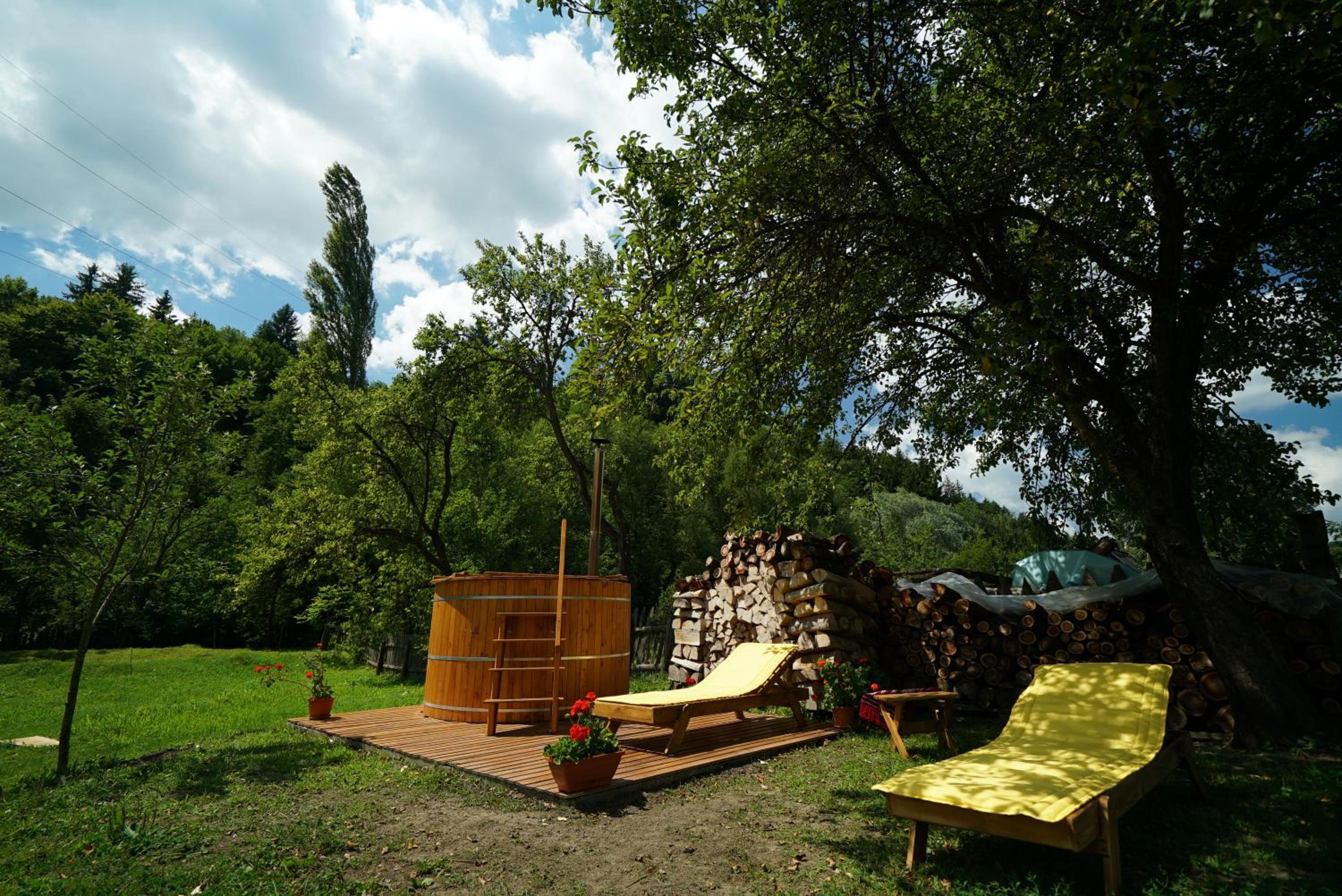 Photo 25