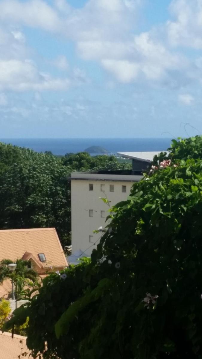le petit mont vert, photo 15