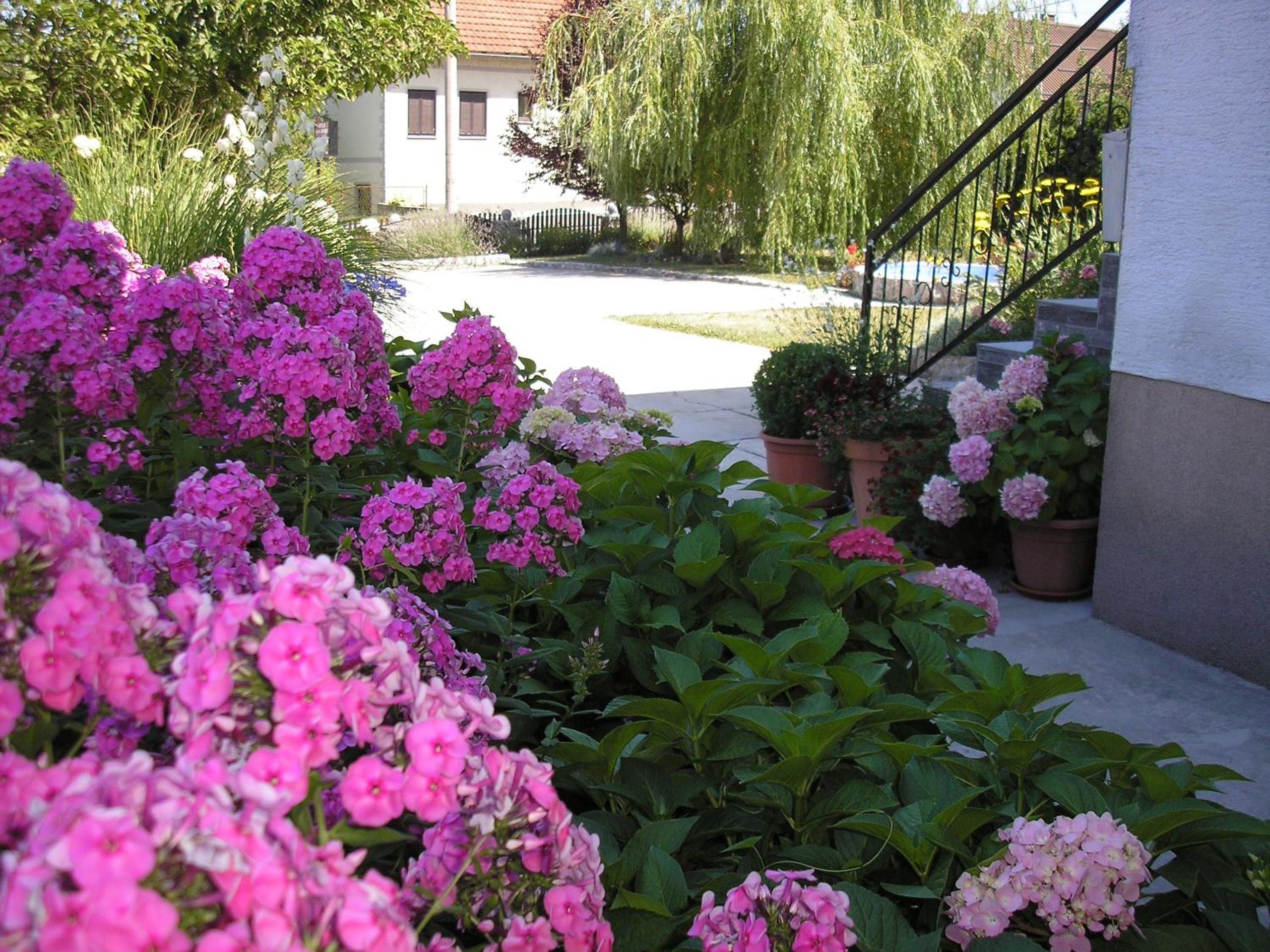 Guesthouse Vila