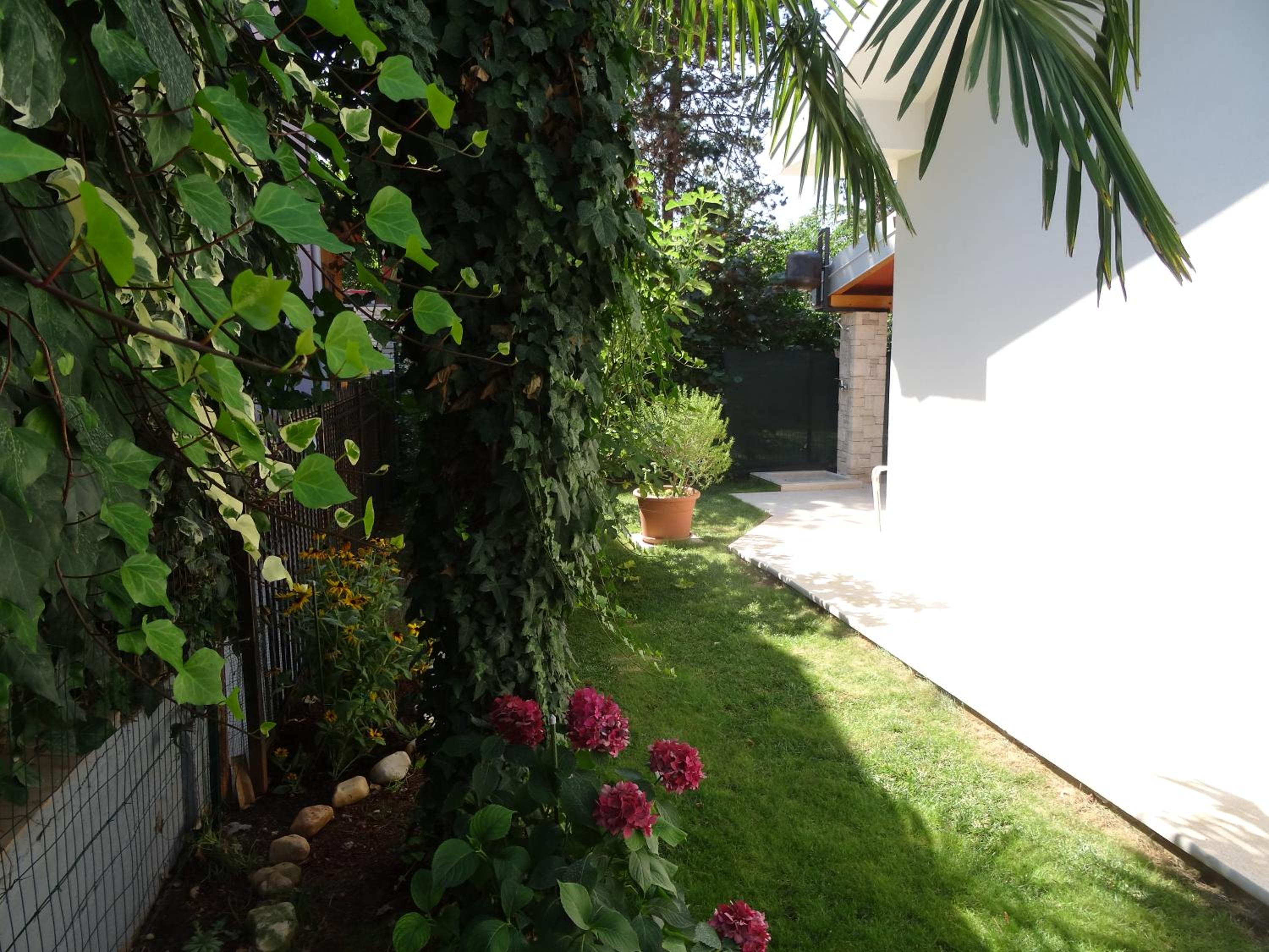 Photo 31