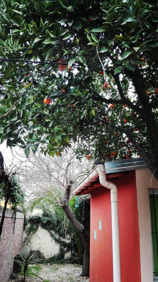 Apartamentos La escondida