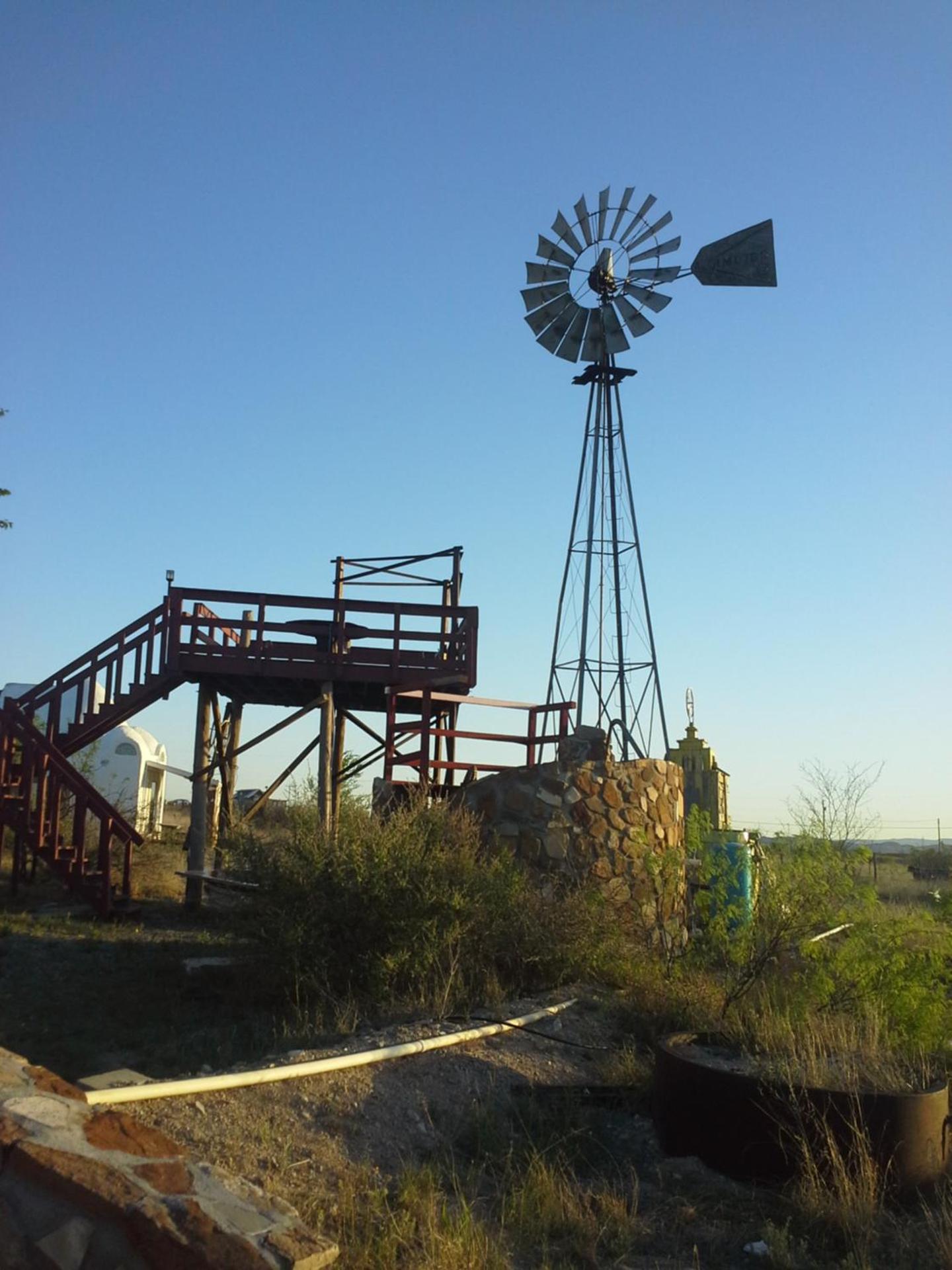 Photo 11