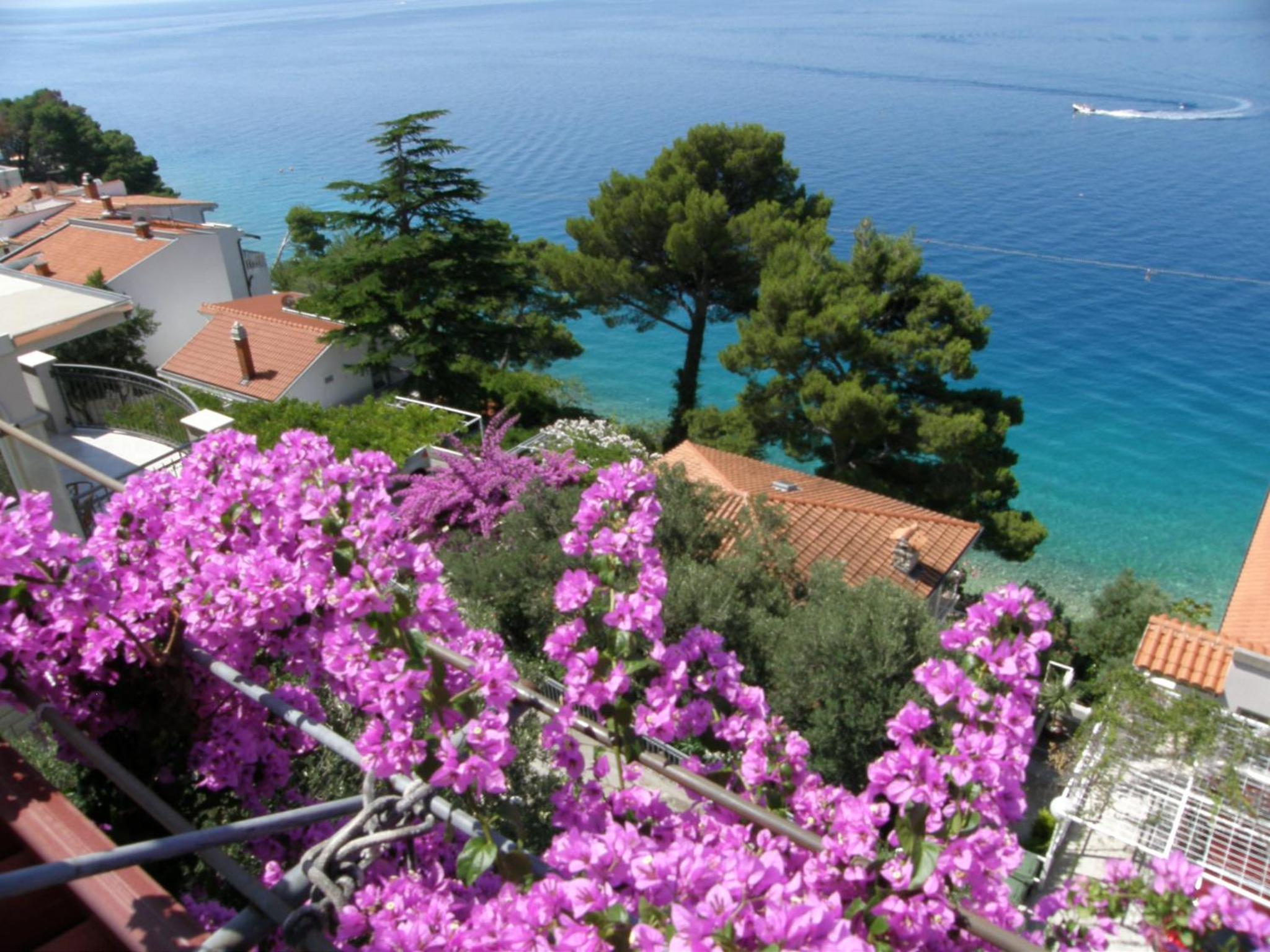 Villa Libertas view 4