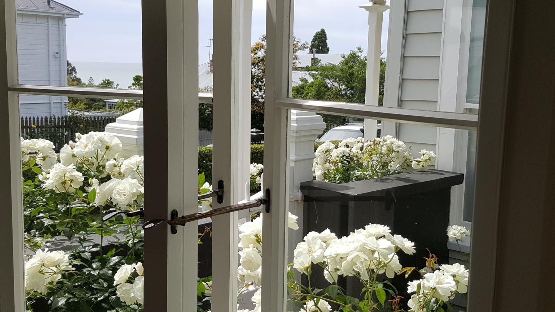 Historic Colenso Cottage view 4